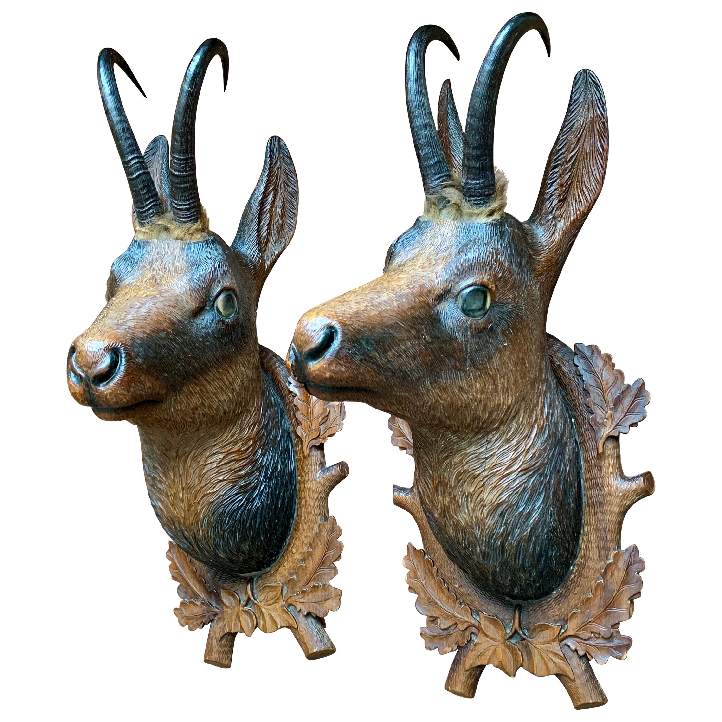 Pair of Late 19th Century Bavarian Carved Wood Chamois Deer on Decorated Shields For Sale