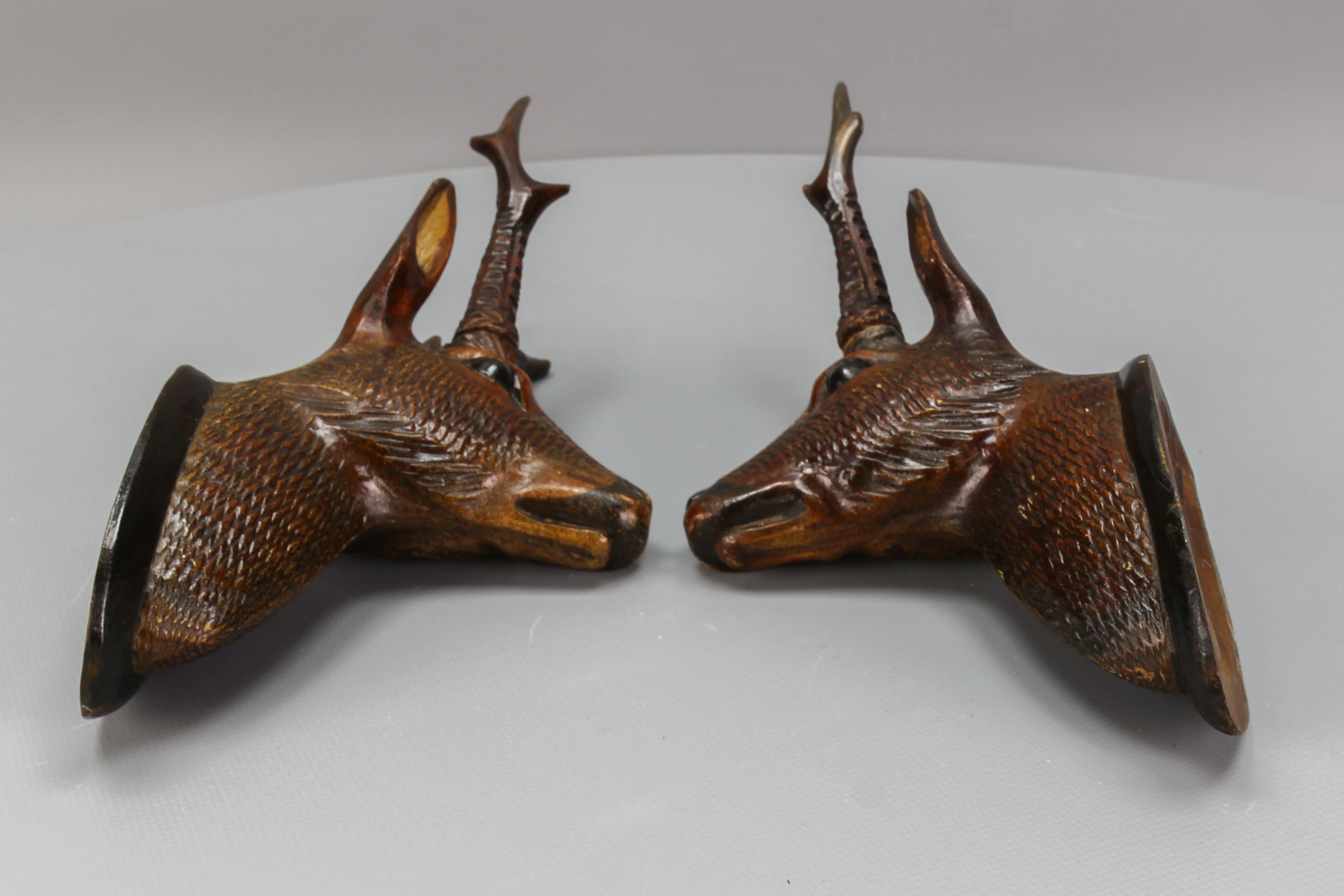 Pair of Late 19th Century Black Forest Carved Roe Deer Heads Wall Mounts 6