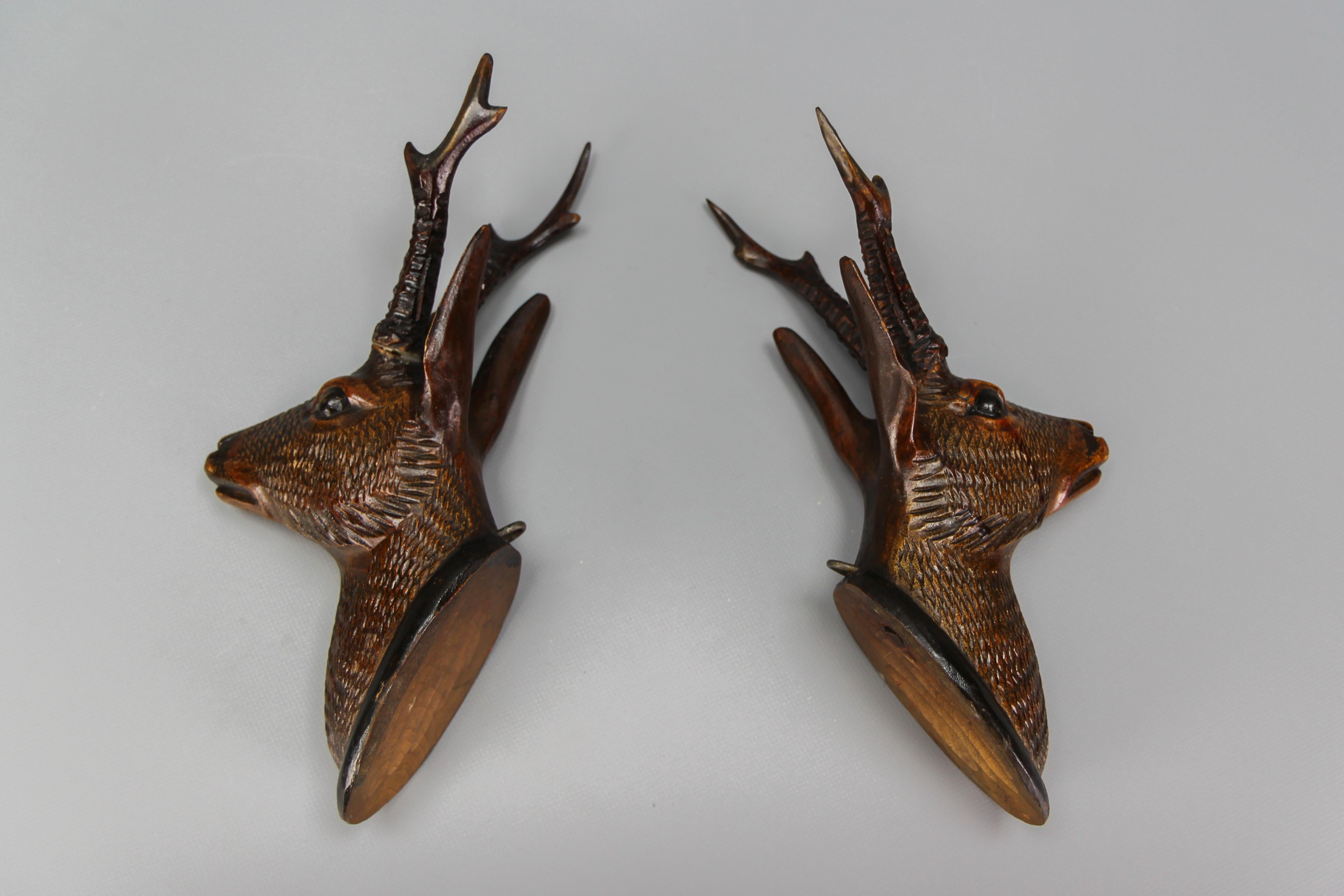 Pair of Late 19th Century Black Forest Carved Roe Deer Heads Wall Mounts 7