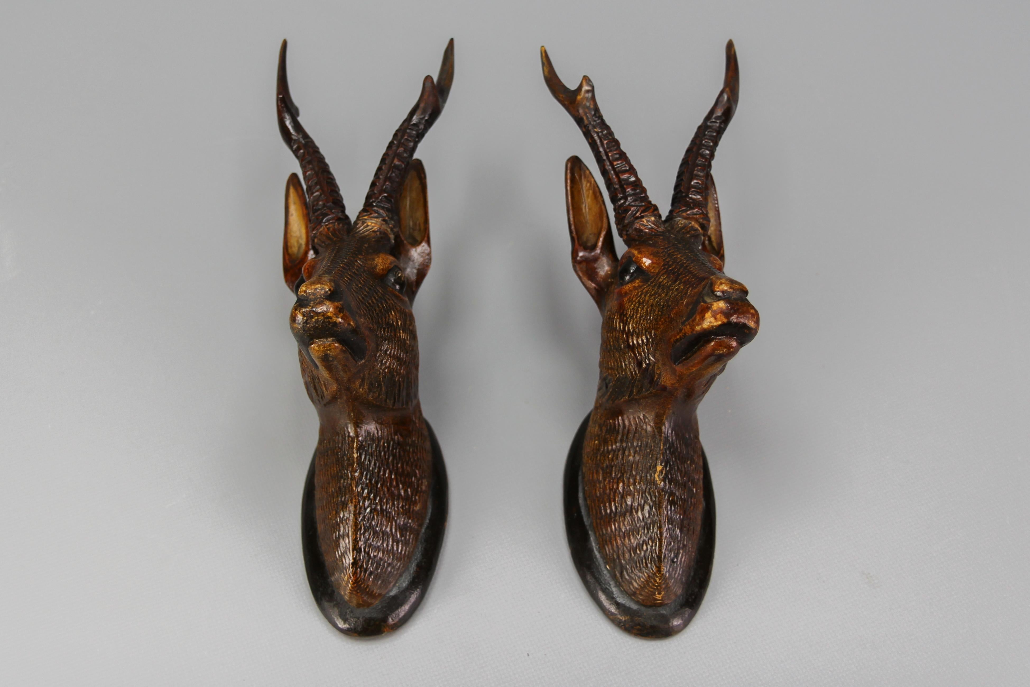 Late 19th century German black forest carved linden wood wall mounts of roe deer heads, decorations, set of two.
This absolutely adorable and small pair of roe deer heads is hand-carved of linden wood in dark brown and black tones. The antlers of