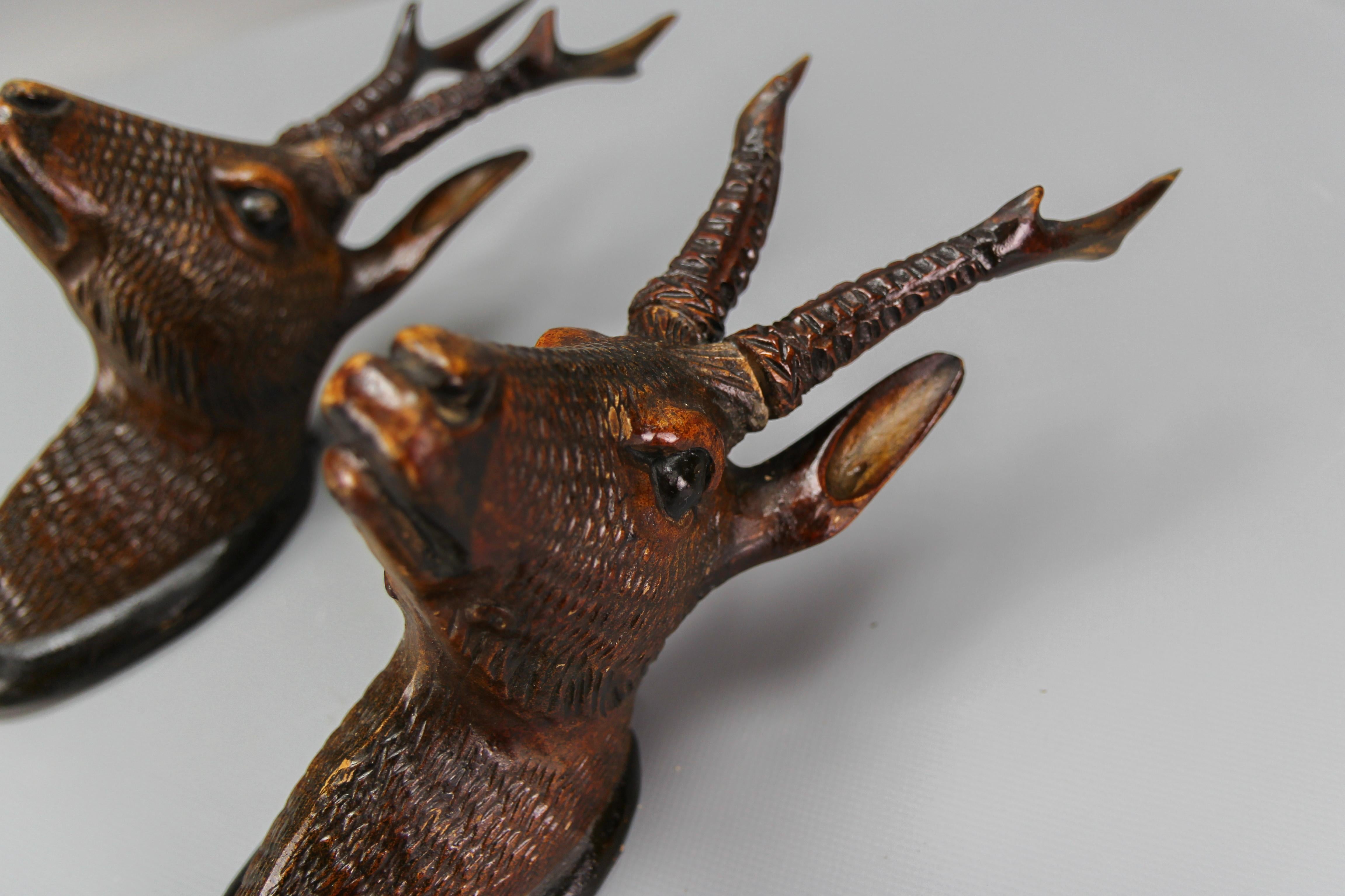 German Pair of Late 19th Century Black Forest Carved Roe Deer Heads Wall Mounts