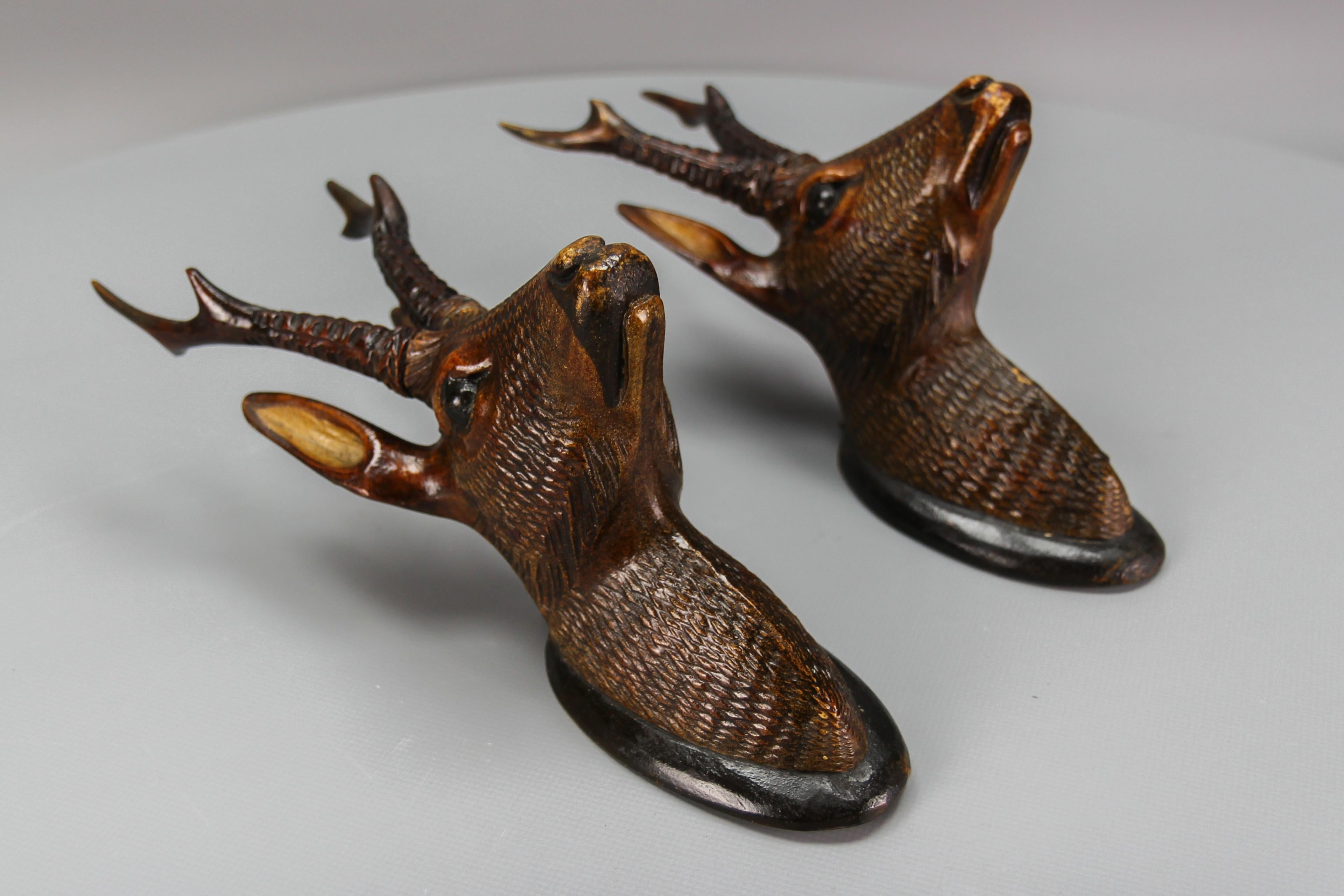 Pair of Late 19th Century Black Forest Carved Roe Deer Heads Wall Mounts In Good Condition In Barntrup, DE