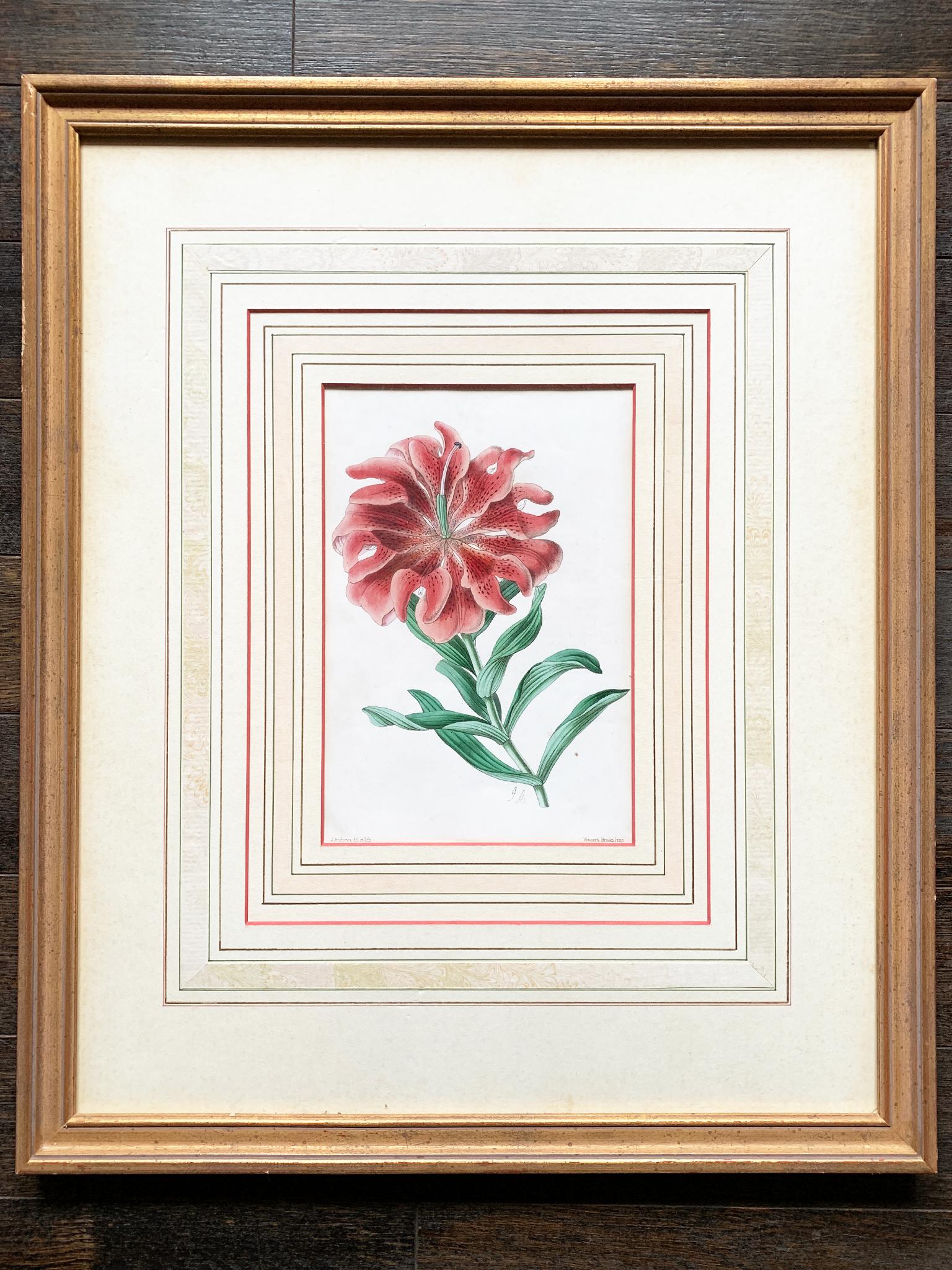 English Pair of Late 19th Century Botanical Lithographs For Sale