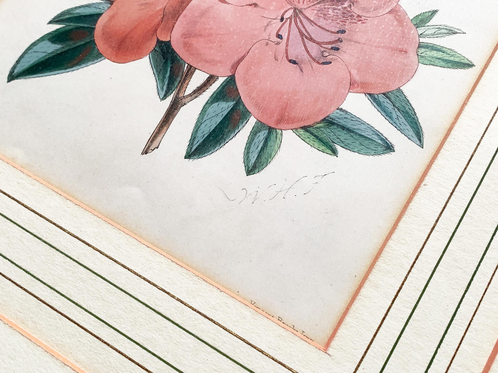 Glass Pair of Late 19th Century Botanical Lithographs For Sale