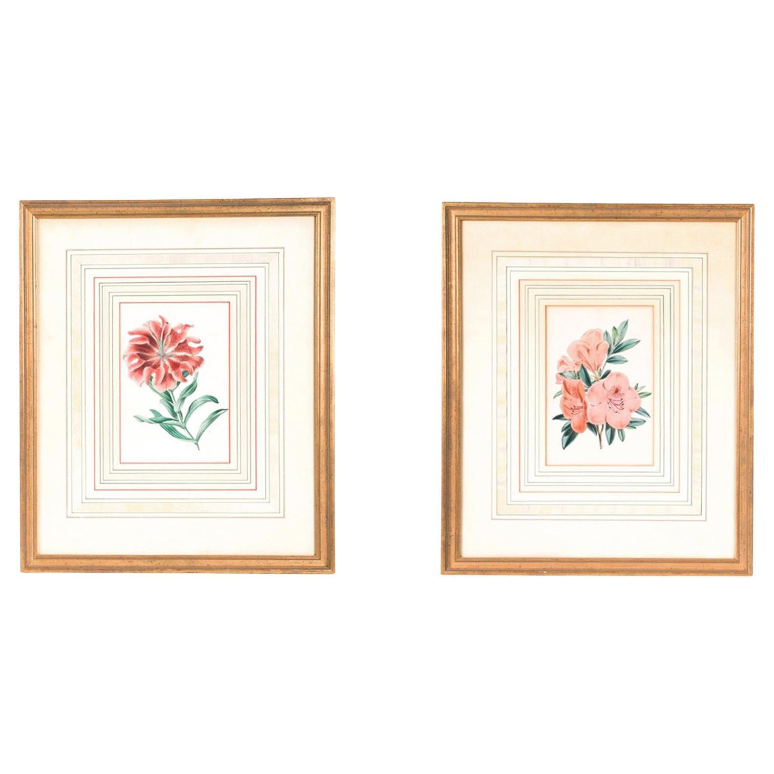 Pair of Late 19th Century Botanical Lithographs For Sale