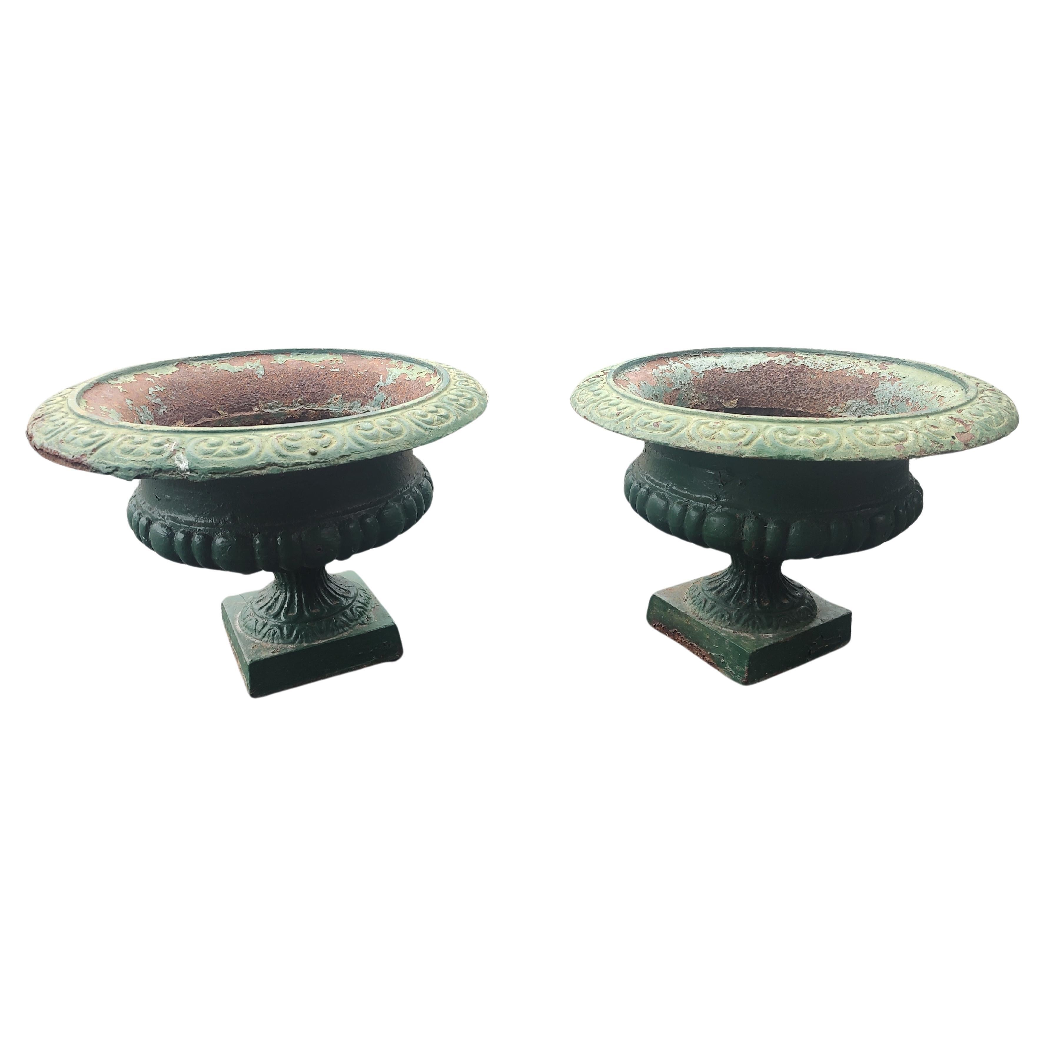 Fabulous pair of late Victorian cast iron urns with decorative scrolls on the outer edge of the rims  and with fluted bases on square plinths. Old green paint with lots of patina. Solid, heavy. Has drainage holes 23.5 x 16.5 h.
Priced and sold as a