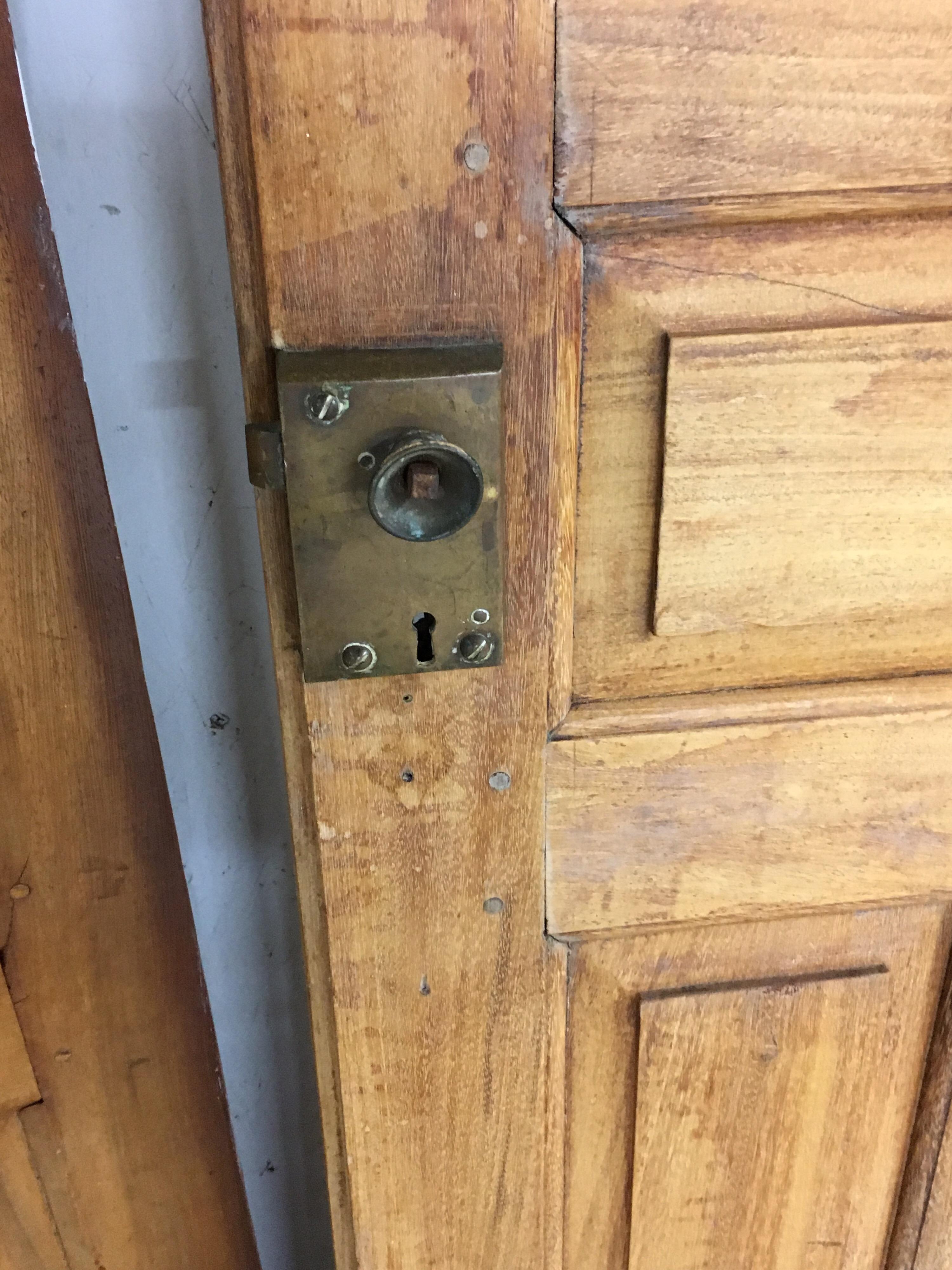 Pair of Late 19th Century Ceylonese Solid Rosewood Paneled Doors 5