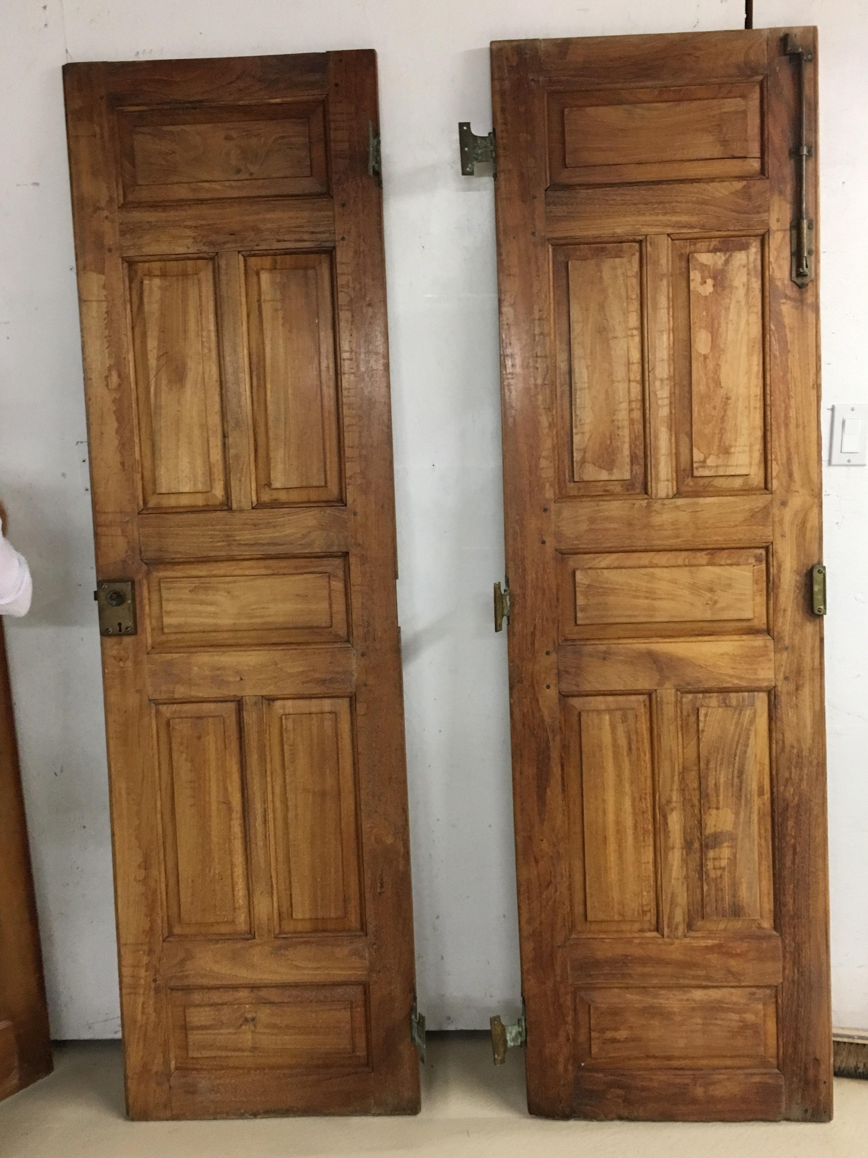 Pair of Late 19th Century Ceylonese Solid Rosewood Paneled Doors 6