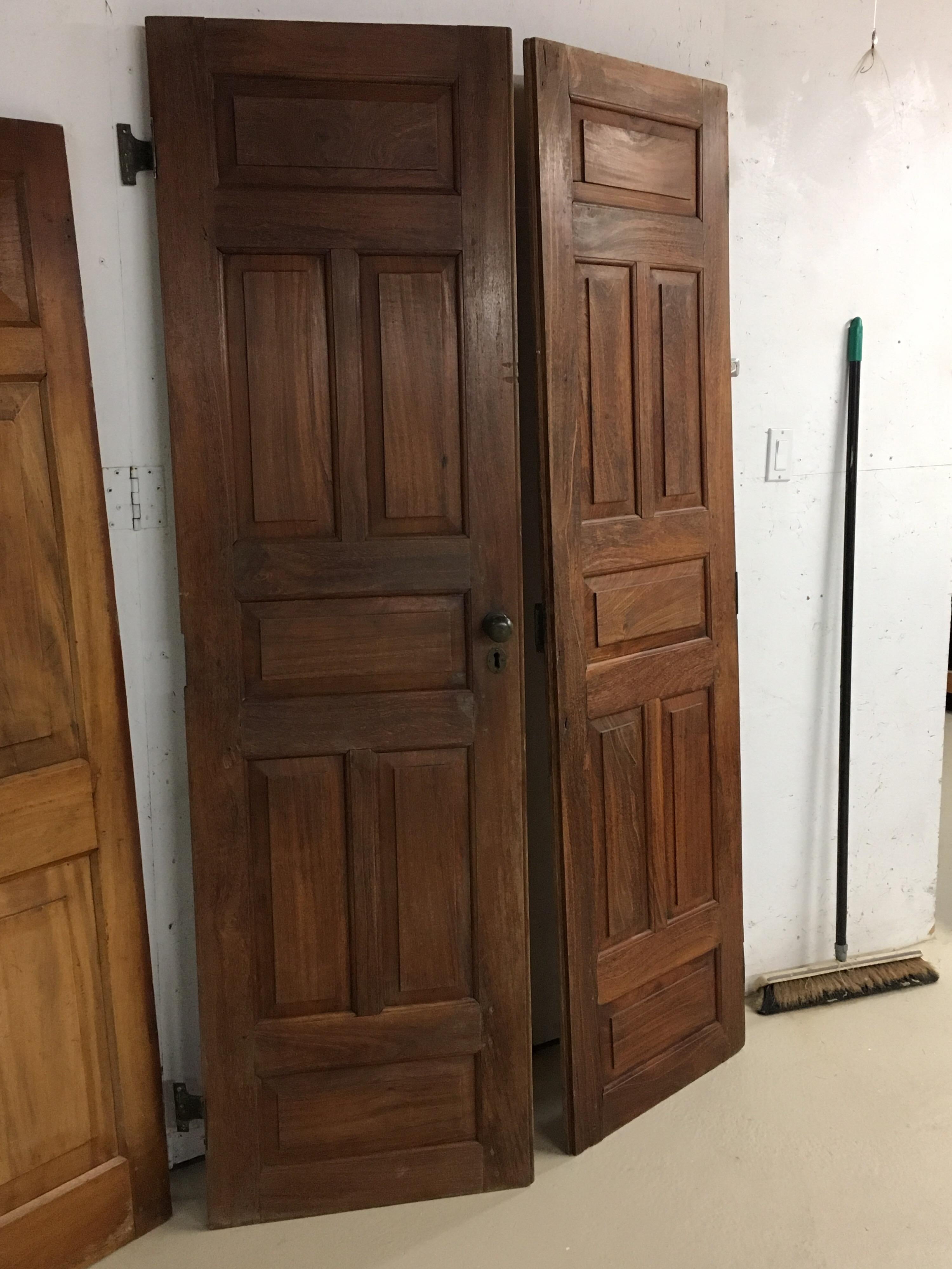Pair of Late 19th Century Ceylonese Solid Rosewood Paneled Doors 1