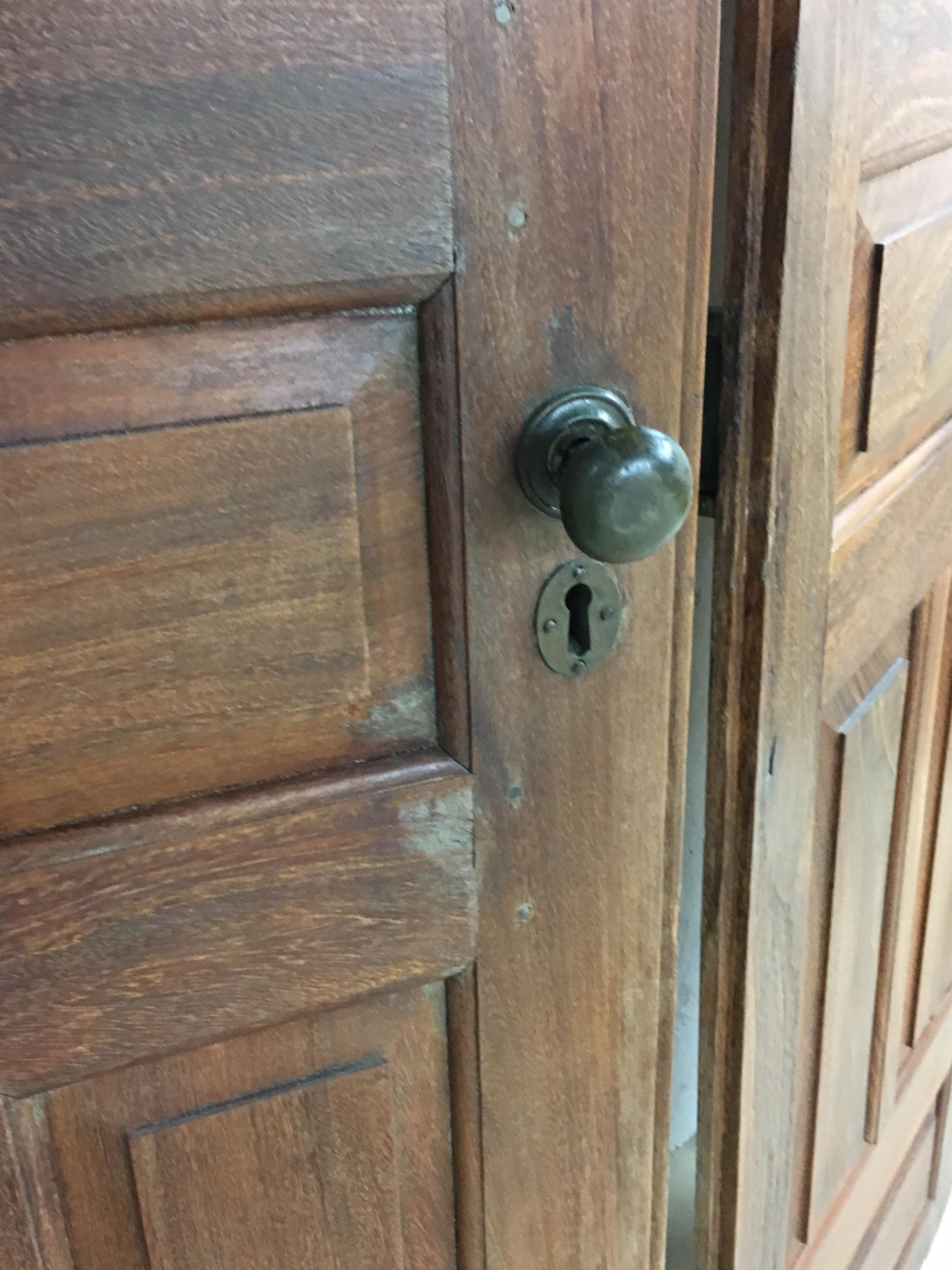 Pair of Late 19th Century Ceylonese Solid Rosewood Paneled Doors 3