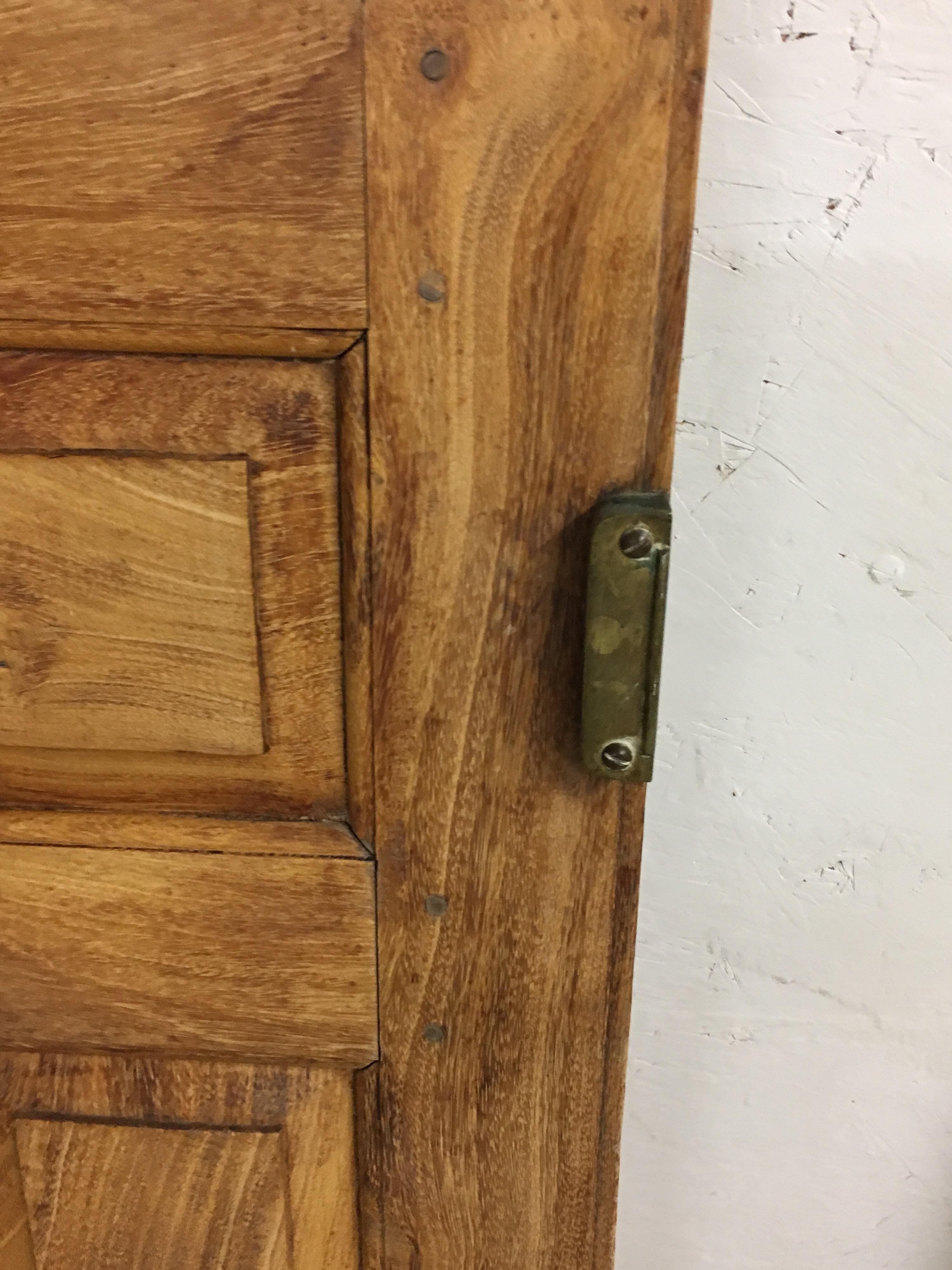 Pair of Late 19th Century Ceylonese Solid Rosewood Paneled Doors 4