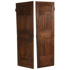 Pair of Late 19th Century Ceylonese Solid Rosewood Paneled Doors