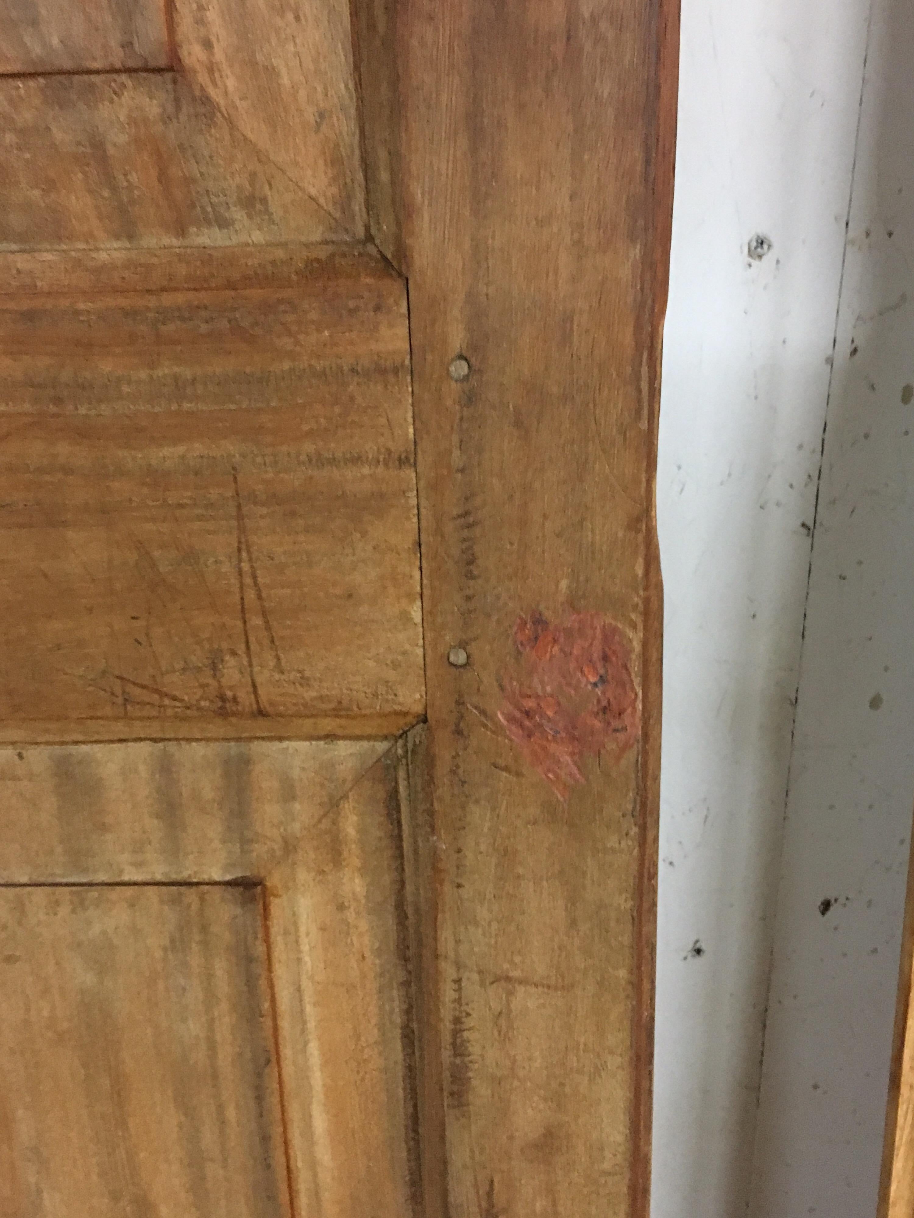 Pair of Late 19th Century Ceylonese Solid Satinwood Paneled Interior Doors 1