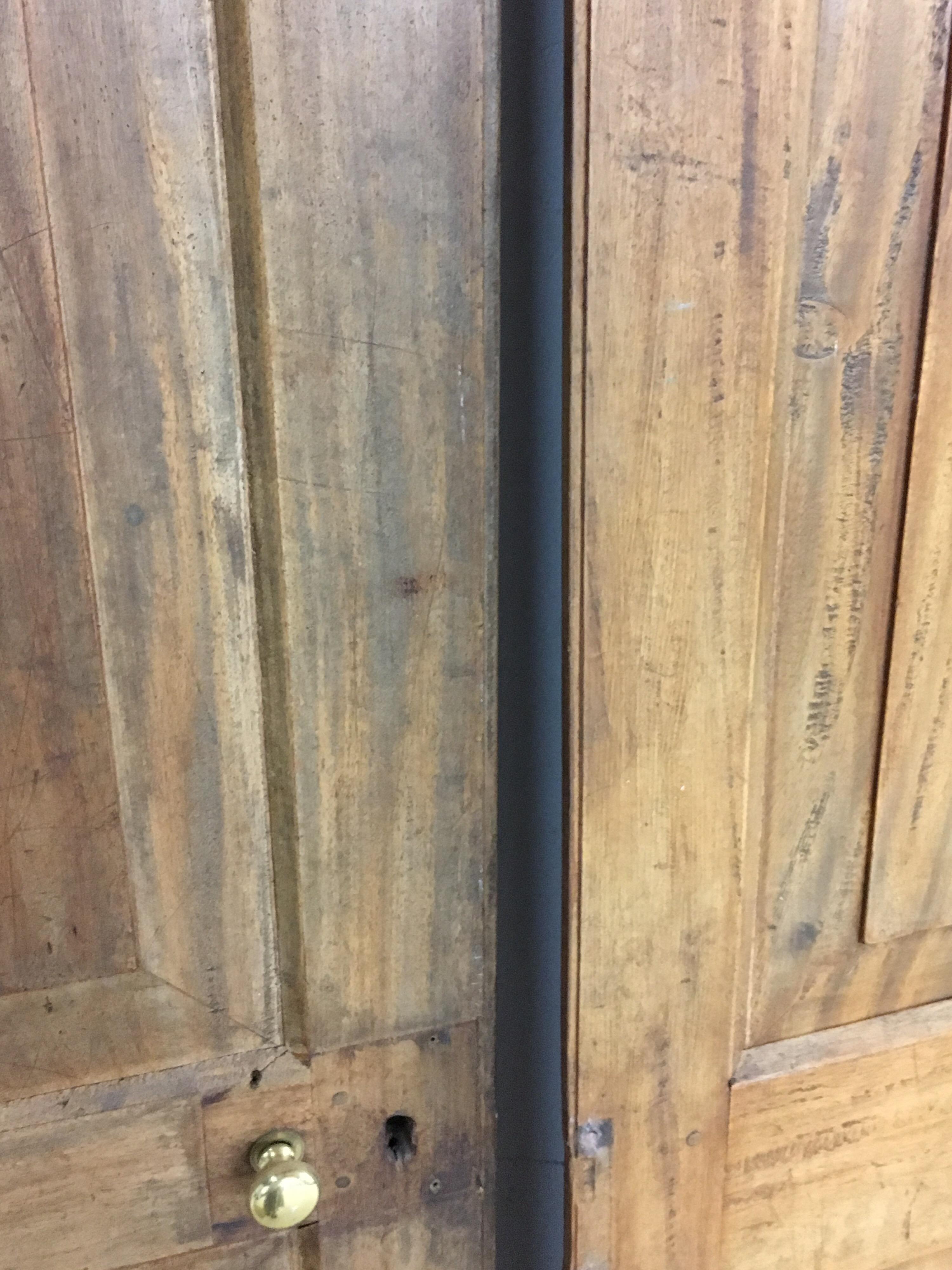 Pair of Late 19th Century Ceylonese Solid Satinwood Paneled Interior Doors 3