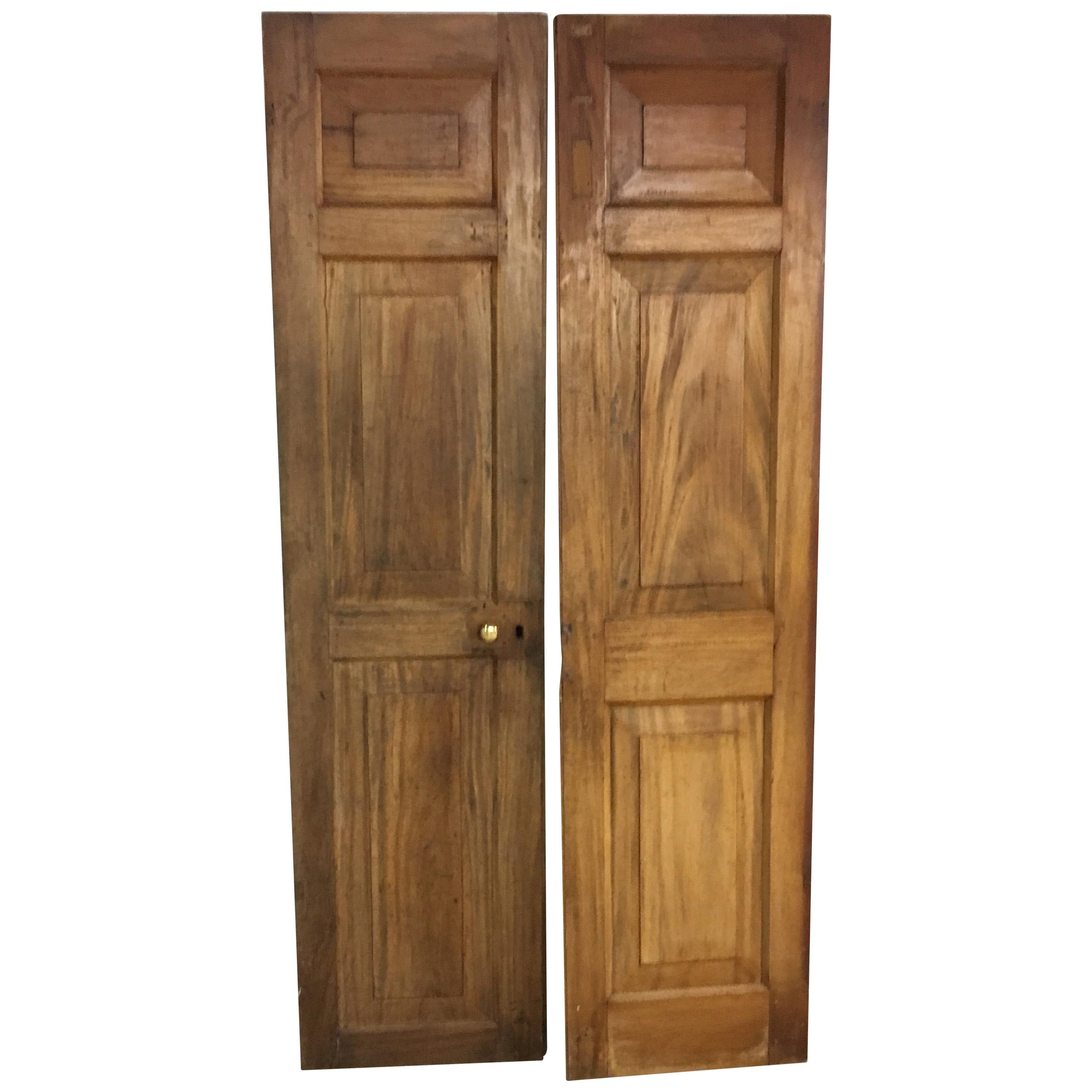 Pair of Late 19th Century Ceylonese Solid Satinwood Paneled Interior Doors