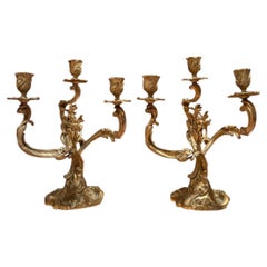 Pair of Late 19th Century French Bronze Three-Light Candelabra