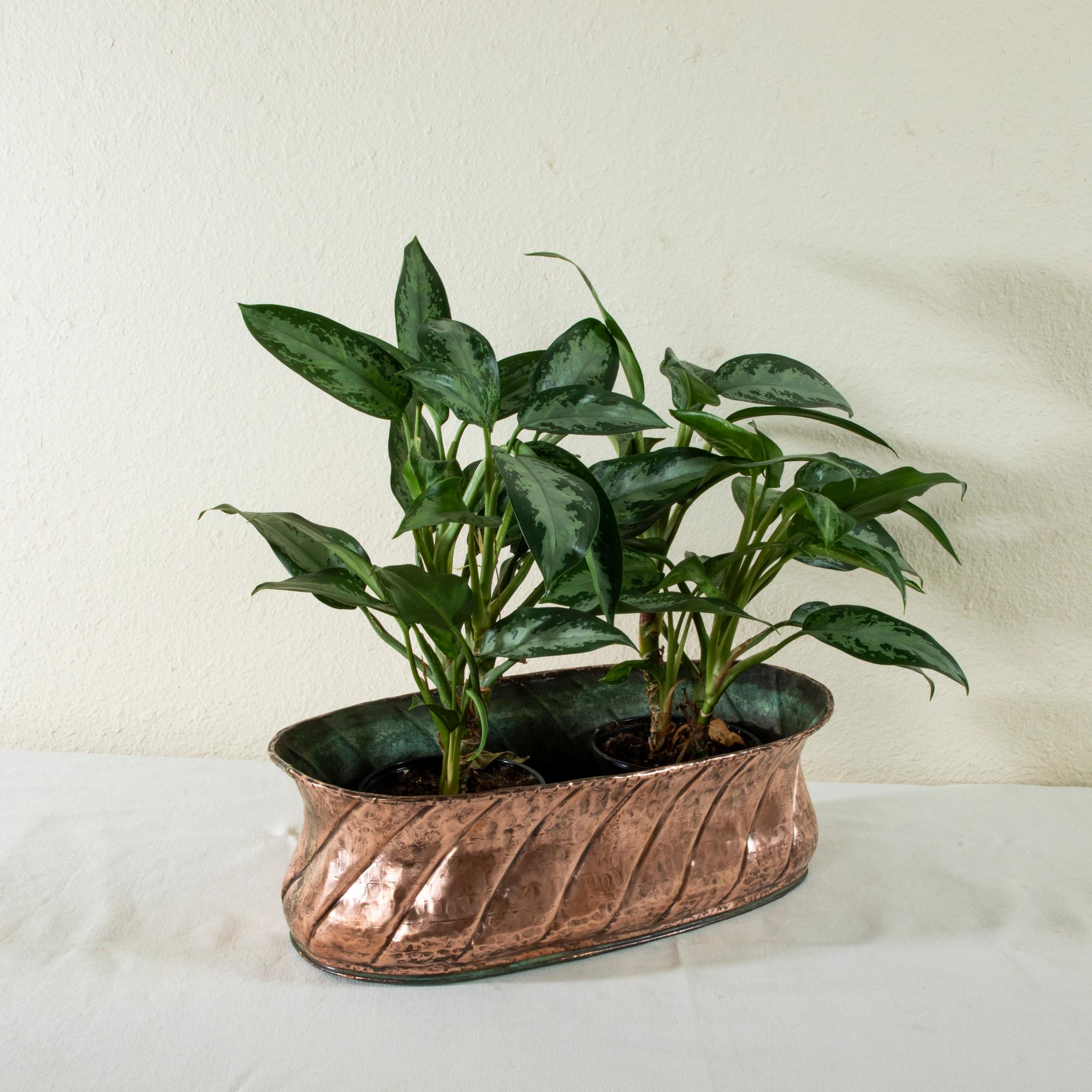 Pair of Late 19th Century French Hand-Hammered Copper Jardinières or Planters For Sale 6