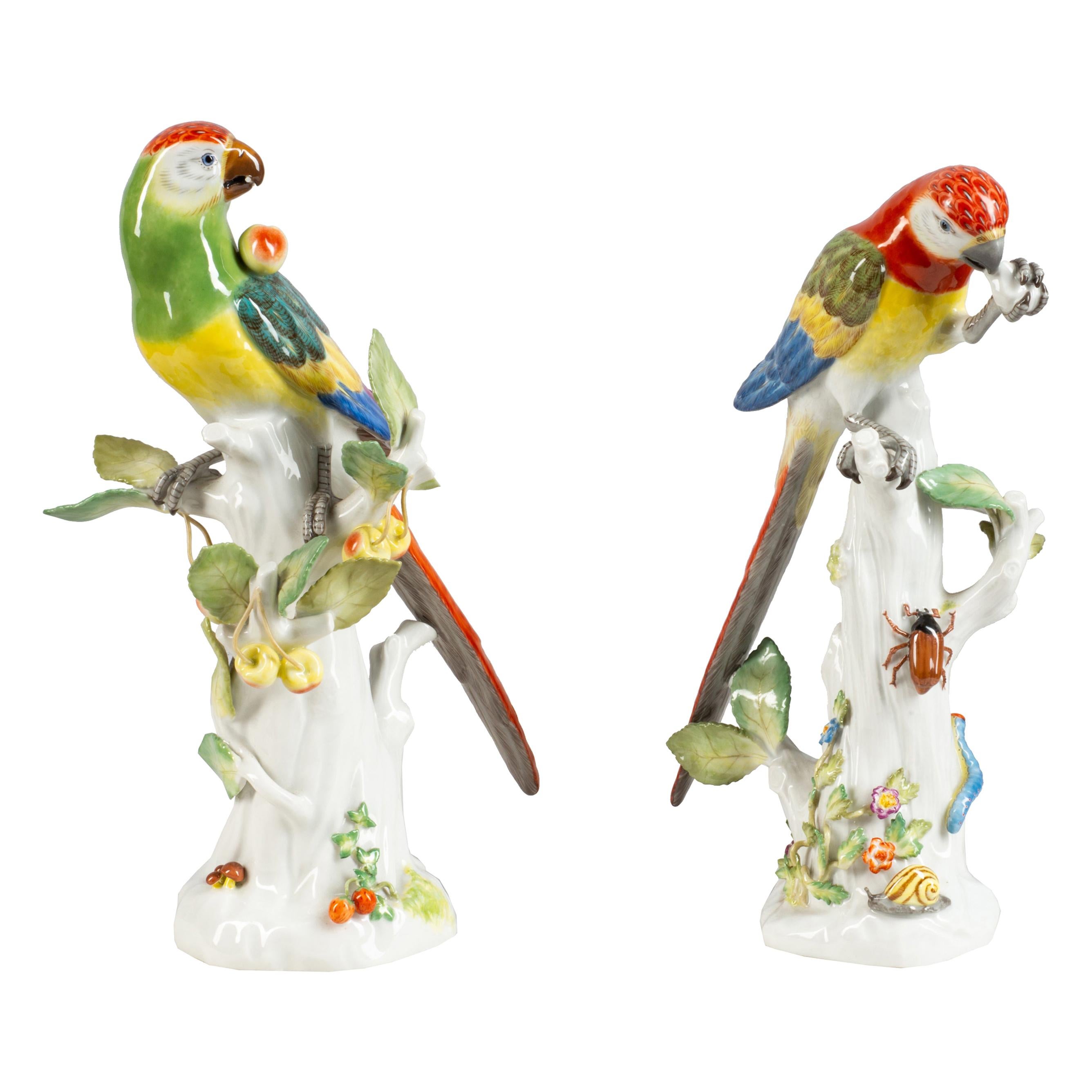 Pair of Late 19th Century Meissen Porcelain Parrots