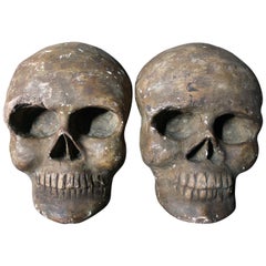 Pair of Late 19th Century Memento Mori Sculpted and Painted Plaster Skulls