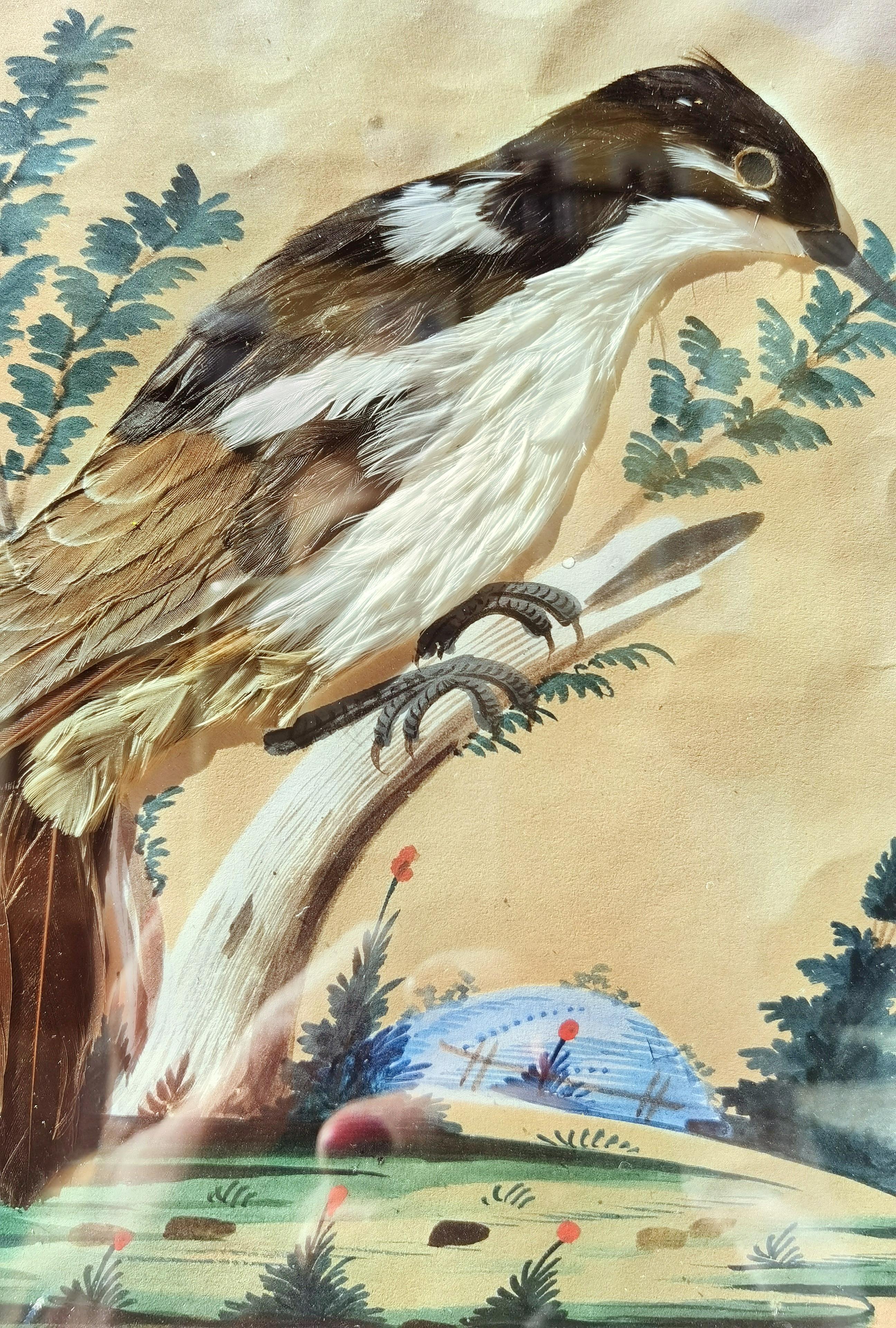 Arts and Crafts Country Style Pair of Late 19th Century Paintings Taxidermy Birds, Germany