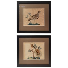 Pair of Late 19th Century Paintings Taxidermy Birds, Germany