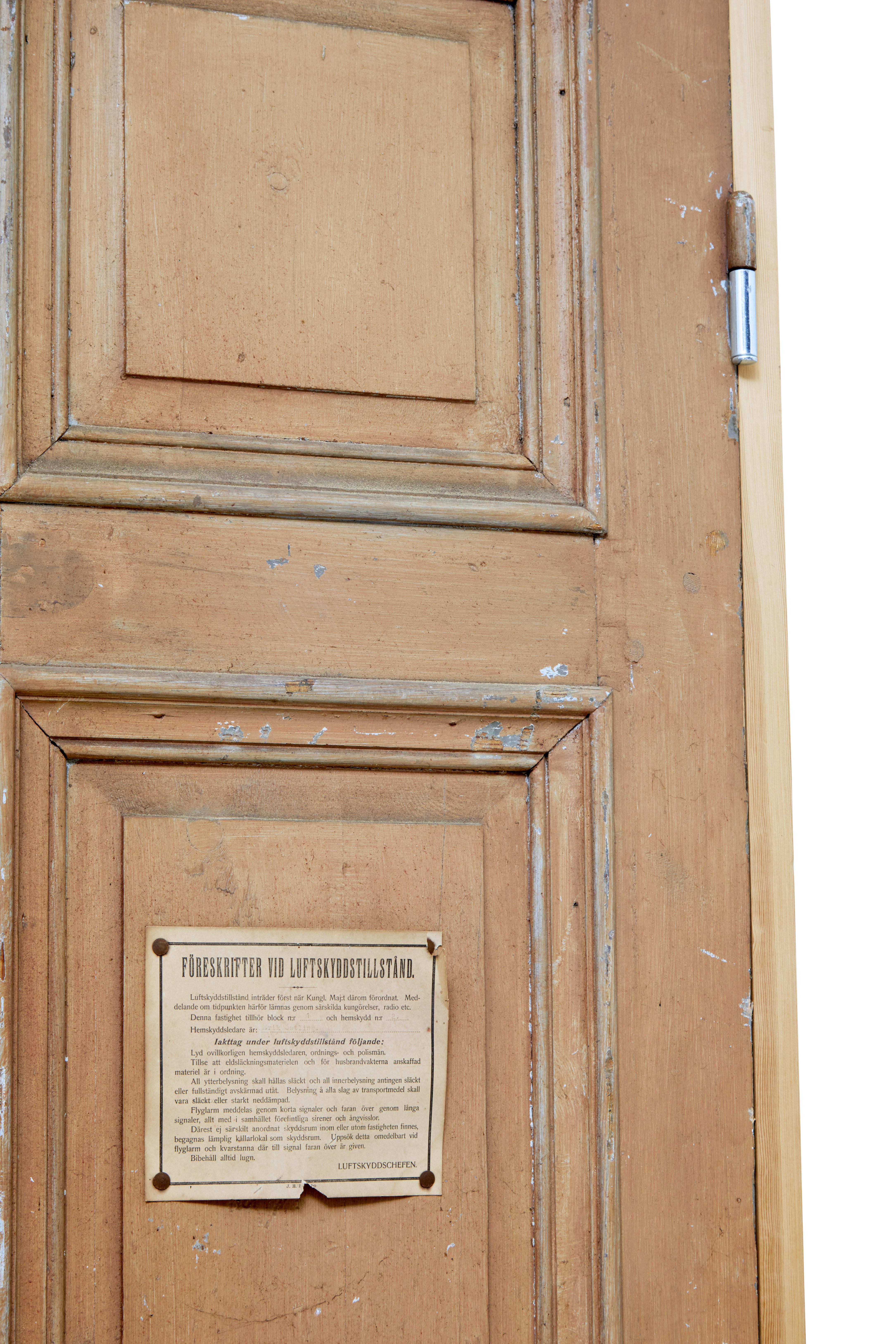 Pine Pair of Late 19th Century Reclaimed Painted Swedish Doors
