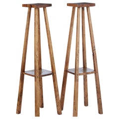 Pair of Late 19th Century Rustic Oak Pedestal Stands