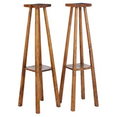 Antique Pair of late 19th century rustic oak pedestal stands