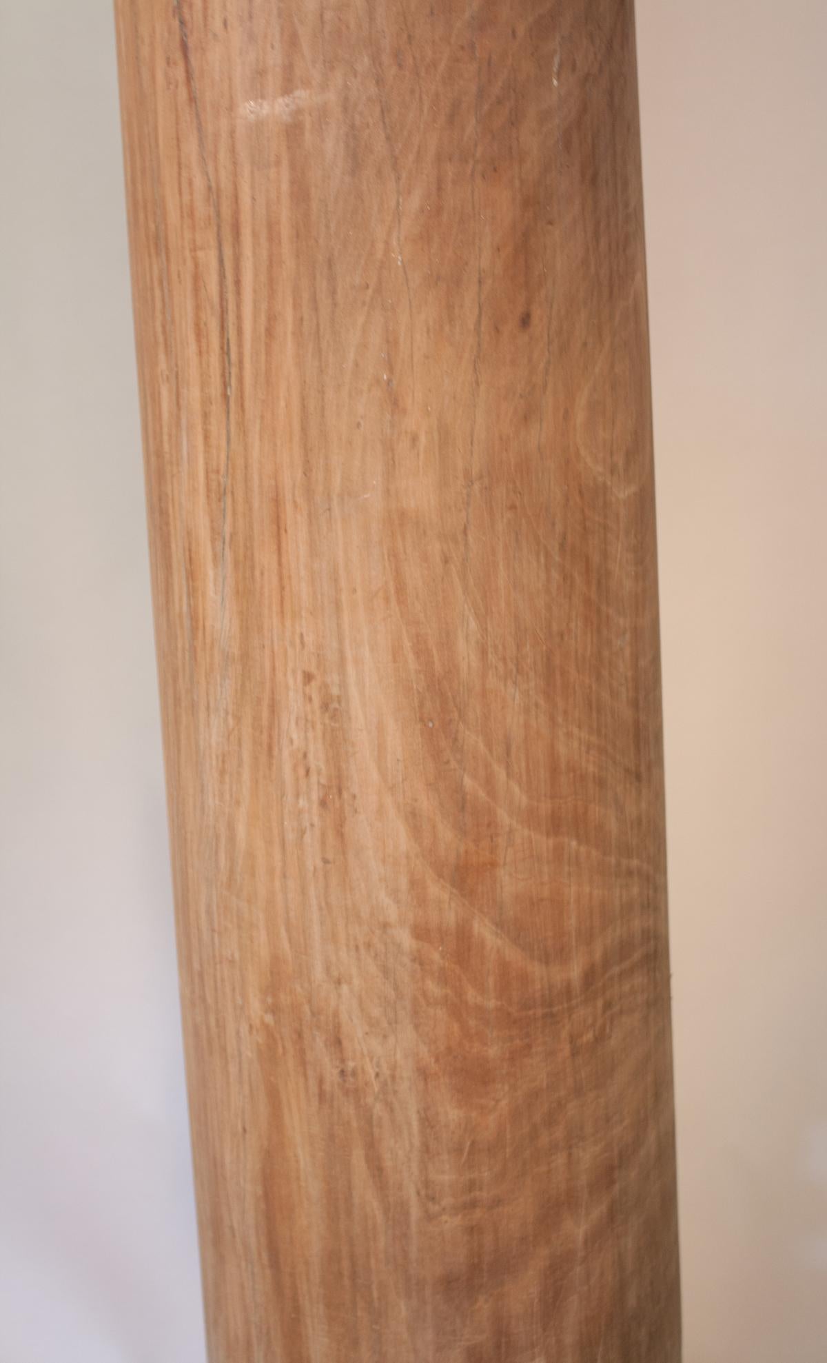 Pair of Late 19th Century Satin Wood Columns 1