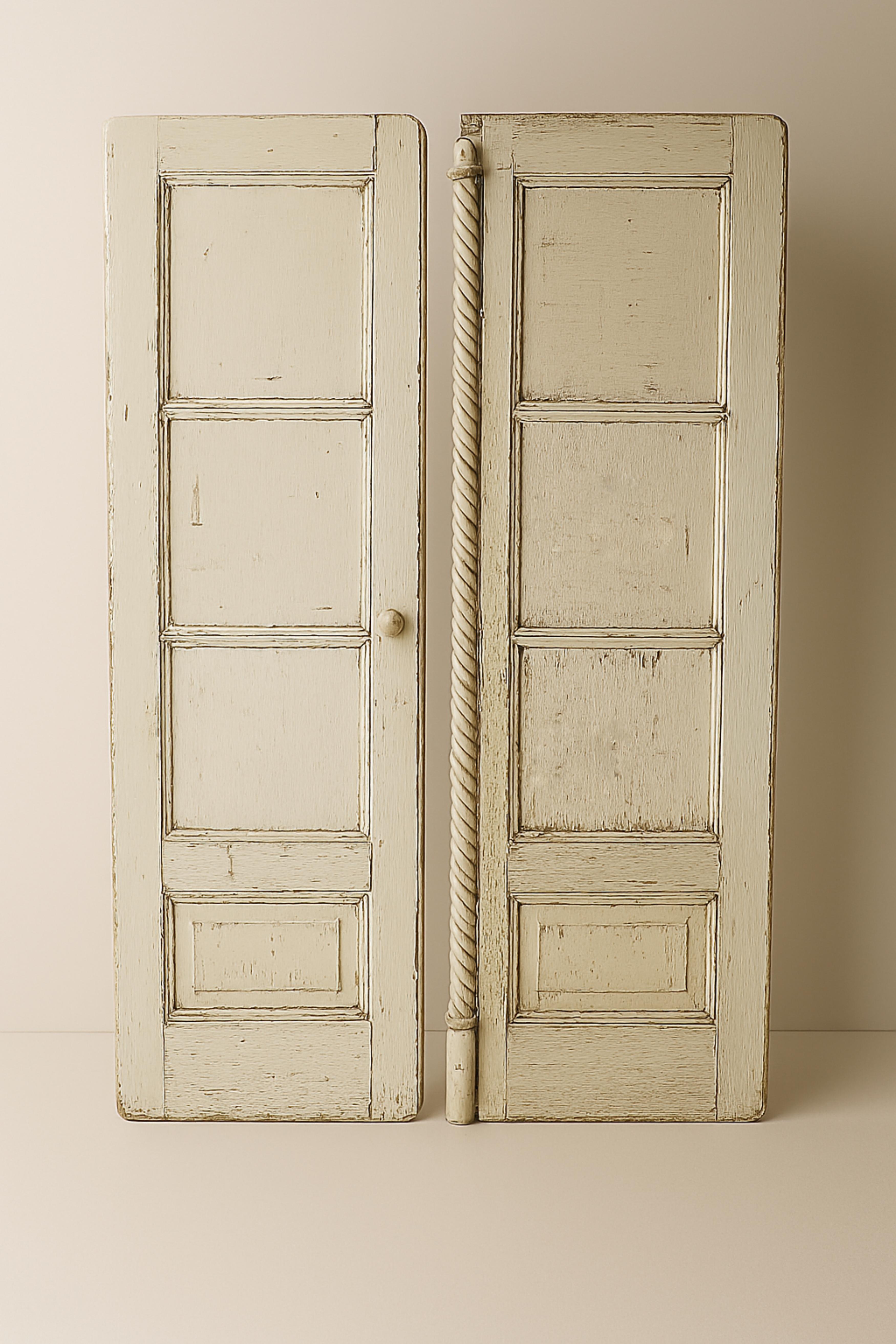 Pair of Late 19th Century Wooden Doors For Sale 11