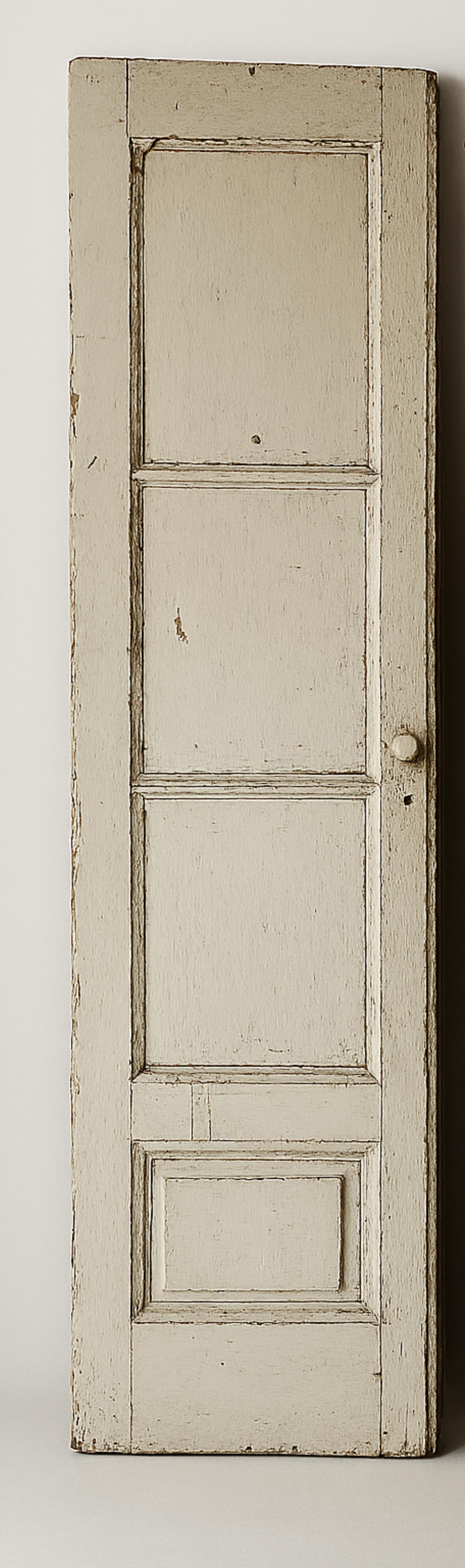 Pair of Late 19th Century Wooden Doors For Sale 2
