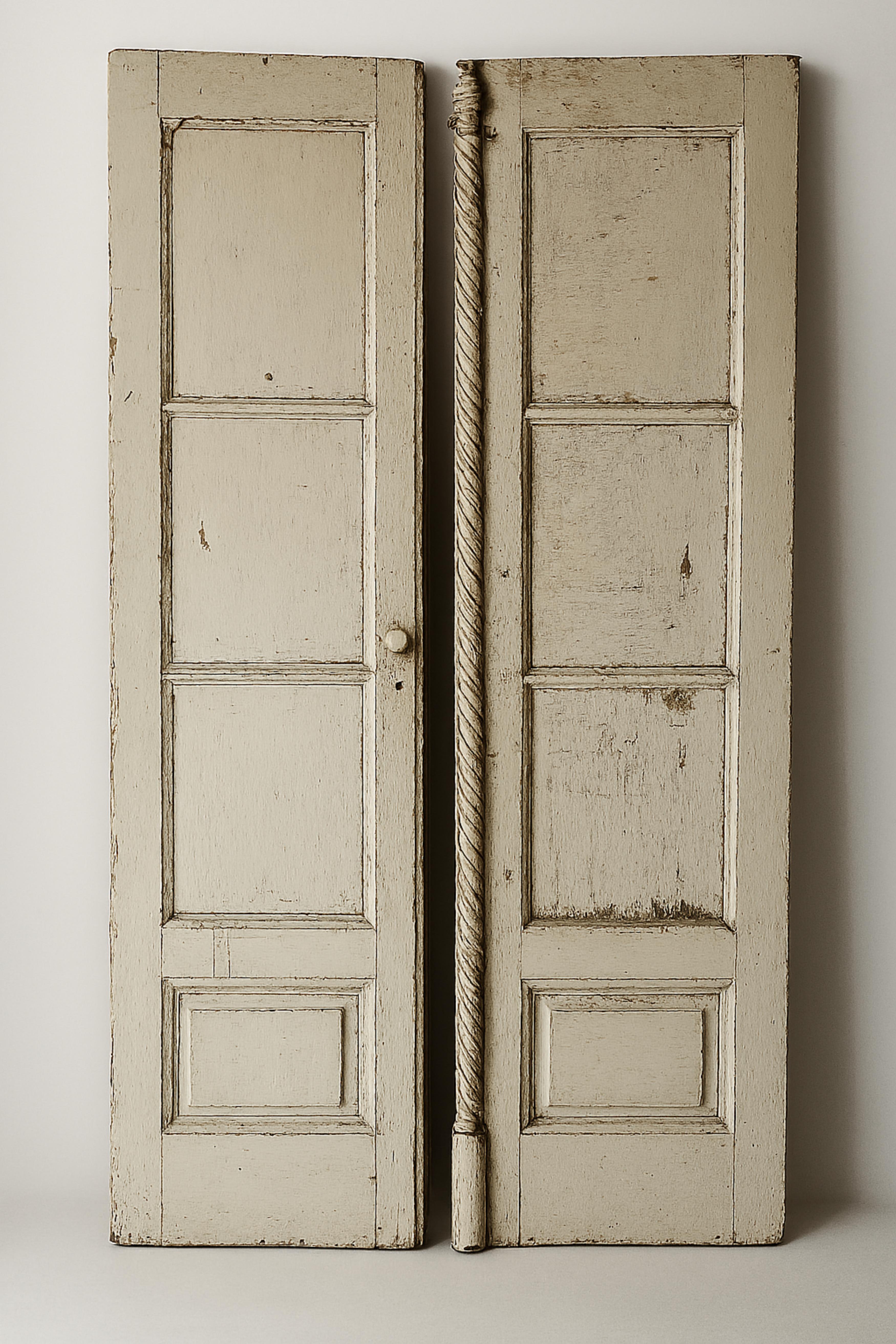 Pair of Late 19th Century Wooden Doors For Sale 4