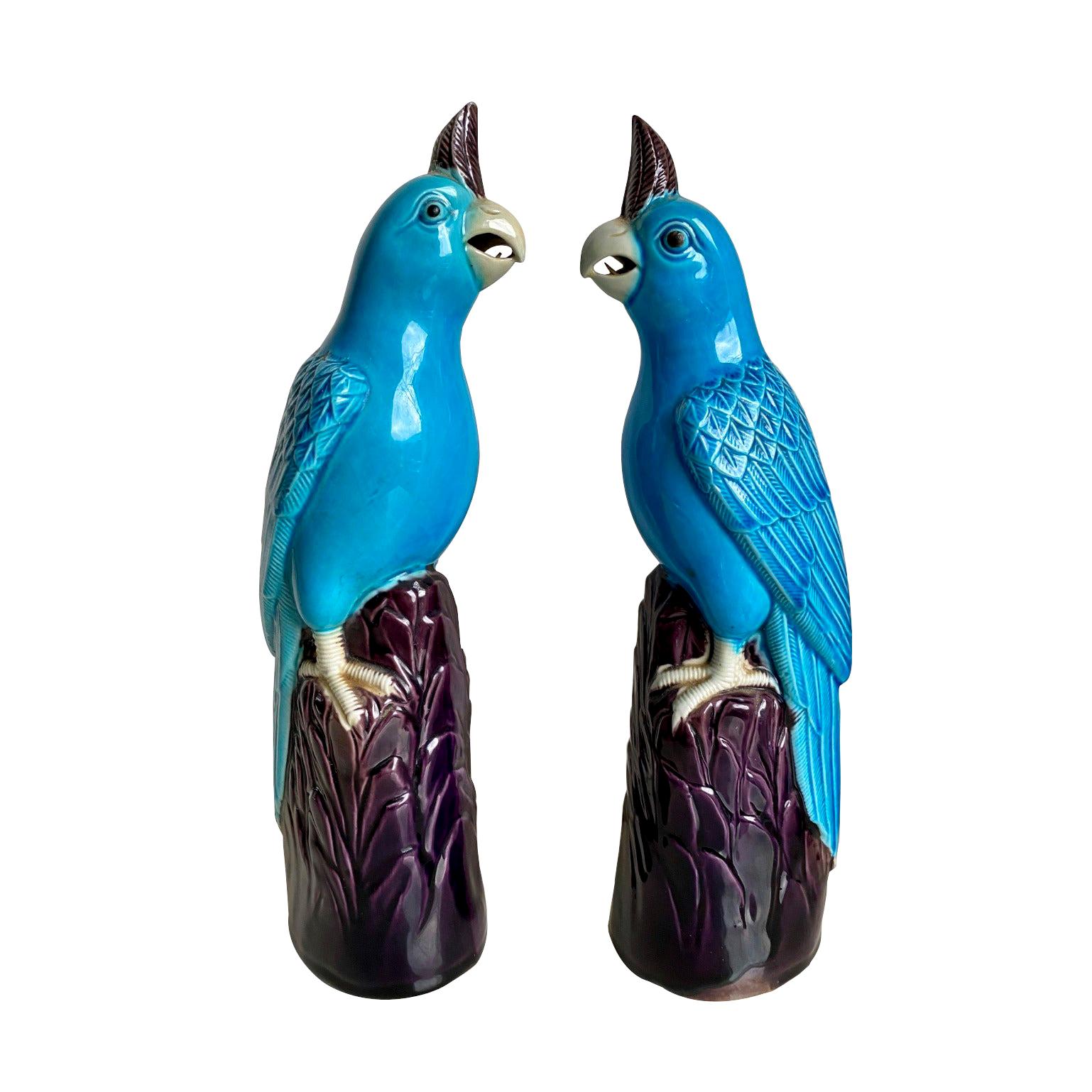 Pair of Late 20th Century Porcelain Turqoise Cockatoos For Sale