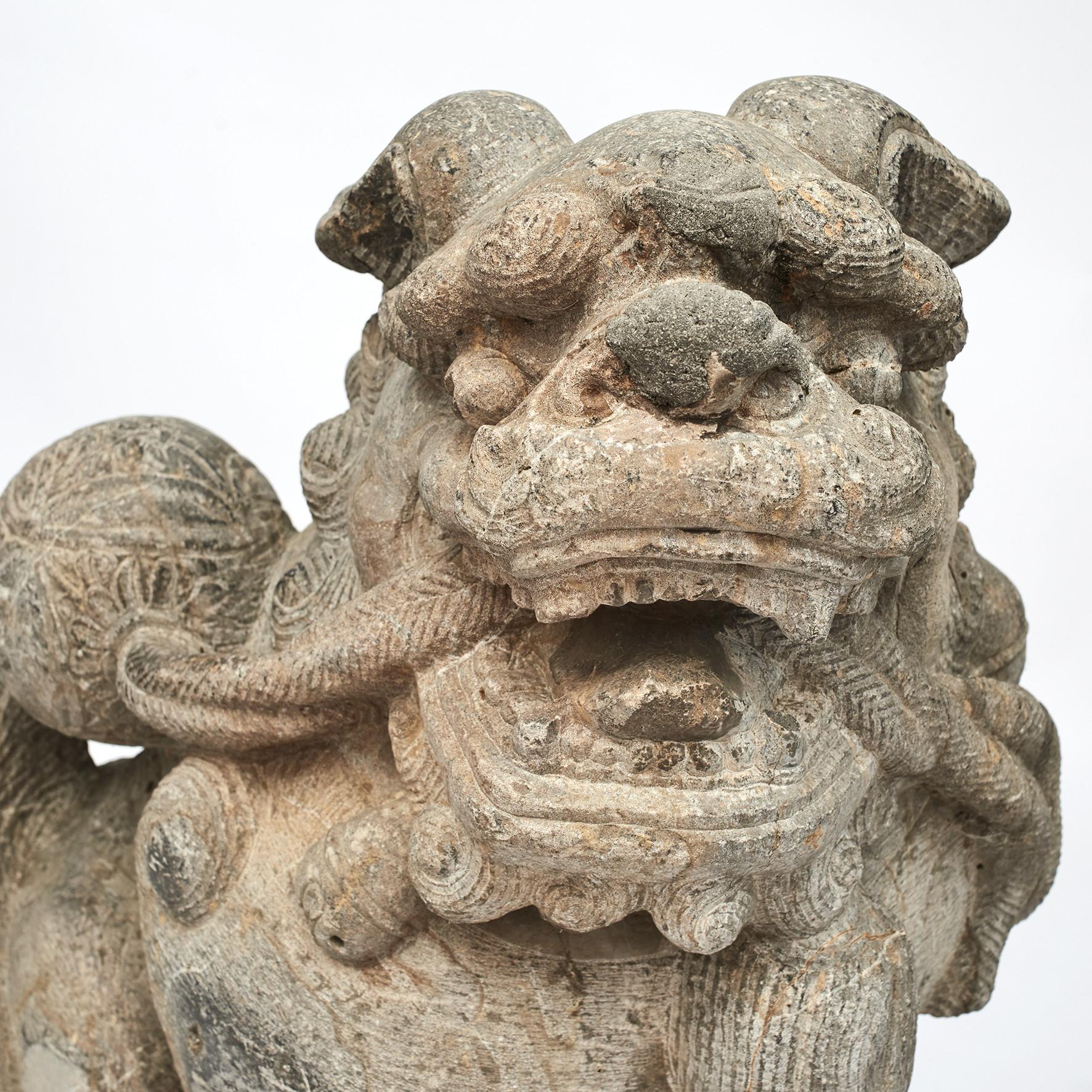 Seltene Paar große chinesische geschnitzte Stein foo Hund Wächter Löwen. Sie stammt aus dem Haus eines Mandarins (eines Beamten im chinesischen Kaiserreich), das an der Seidenstraße lag.
Hier wurden sie vor dem Tor aufgestellt, wobei die Tortüren