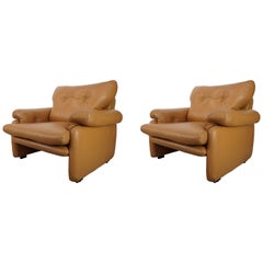 Pair of Leather Coronado Armchairs Design Afra & Tobia Scarpa for B&B Italia