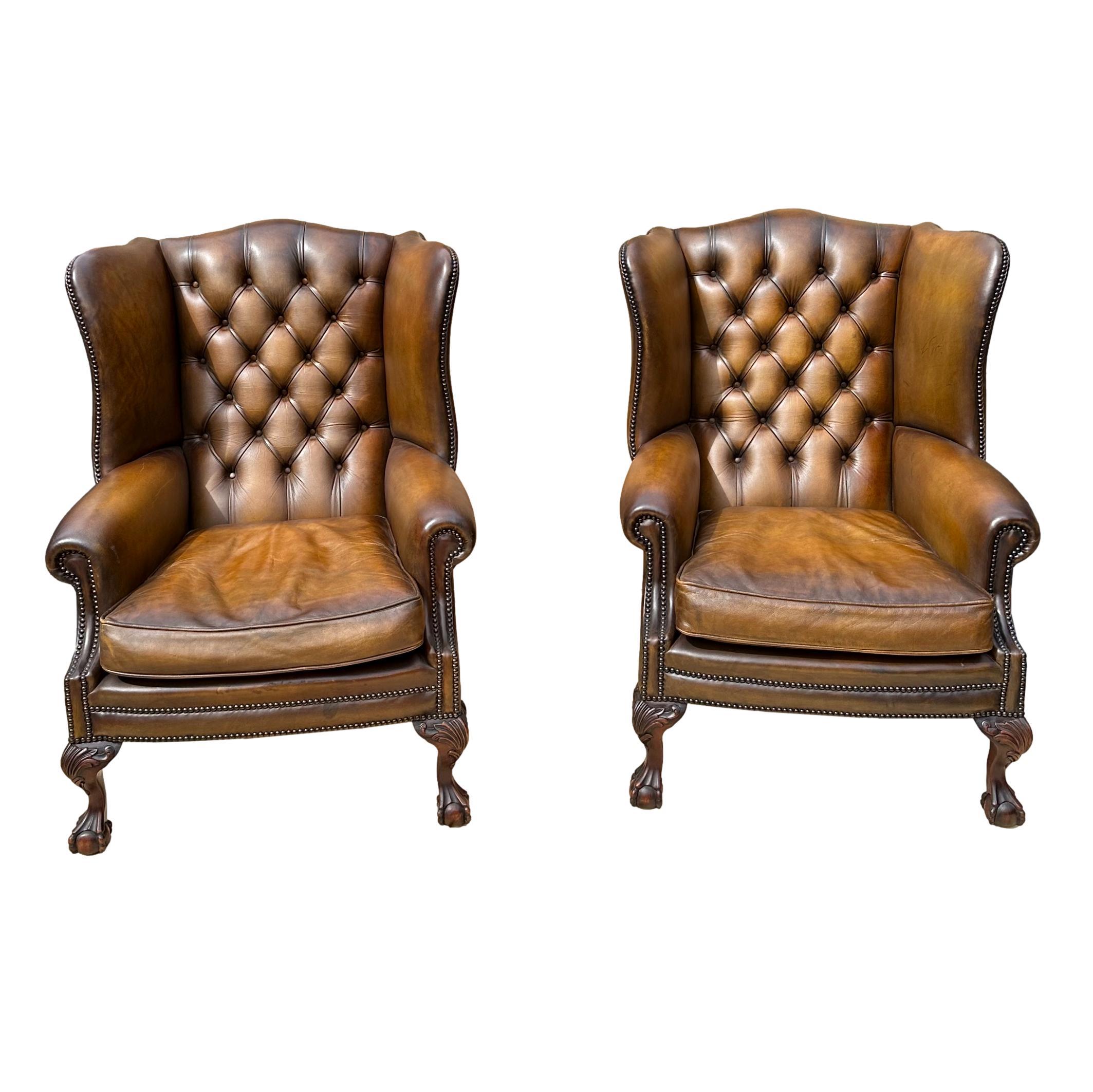 A pair of Edwardian Chippendale-style Leather Wingback Chairs, shaped and slanted, with hand-tied button tufting, trimmed in brass nail heads, ball and claw hand-carved legs, and rear cabriole legs, English, ca. 1920. 
The seat cushions are newly