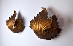 Pair of "Leaves" Sconces, Gold Leaf Gilding, Italy