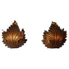 Pair of "Leaves" Sconces, Gold Leaf Gilding, Italy