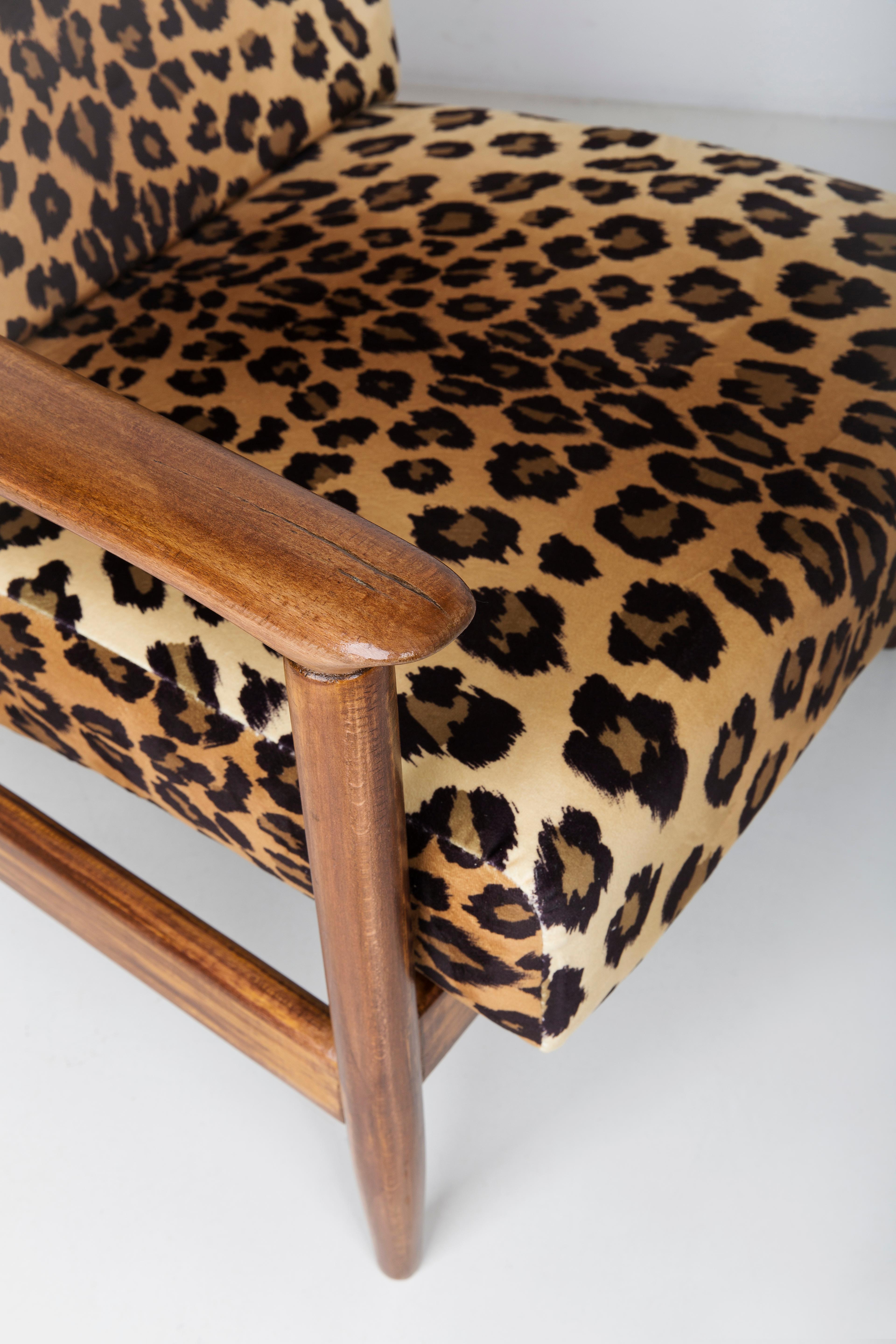 Pair of Leopard Print Velvet Armchairs, Edmund Homa, GFM-142, 1960s, Poland For Sale 2