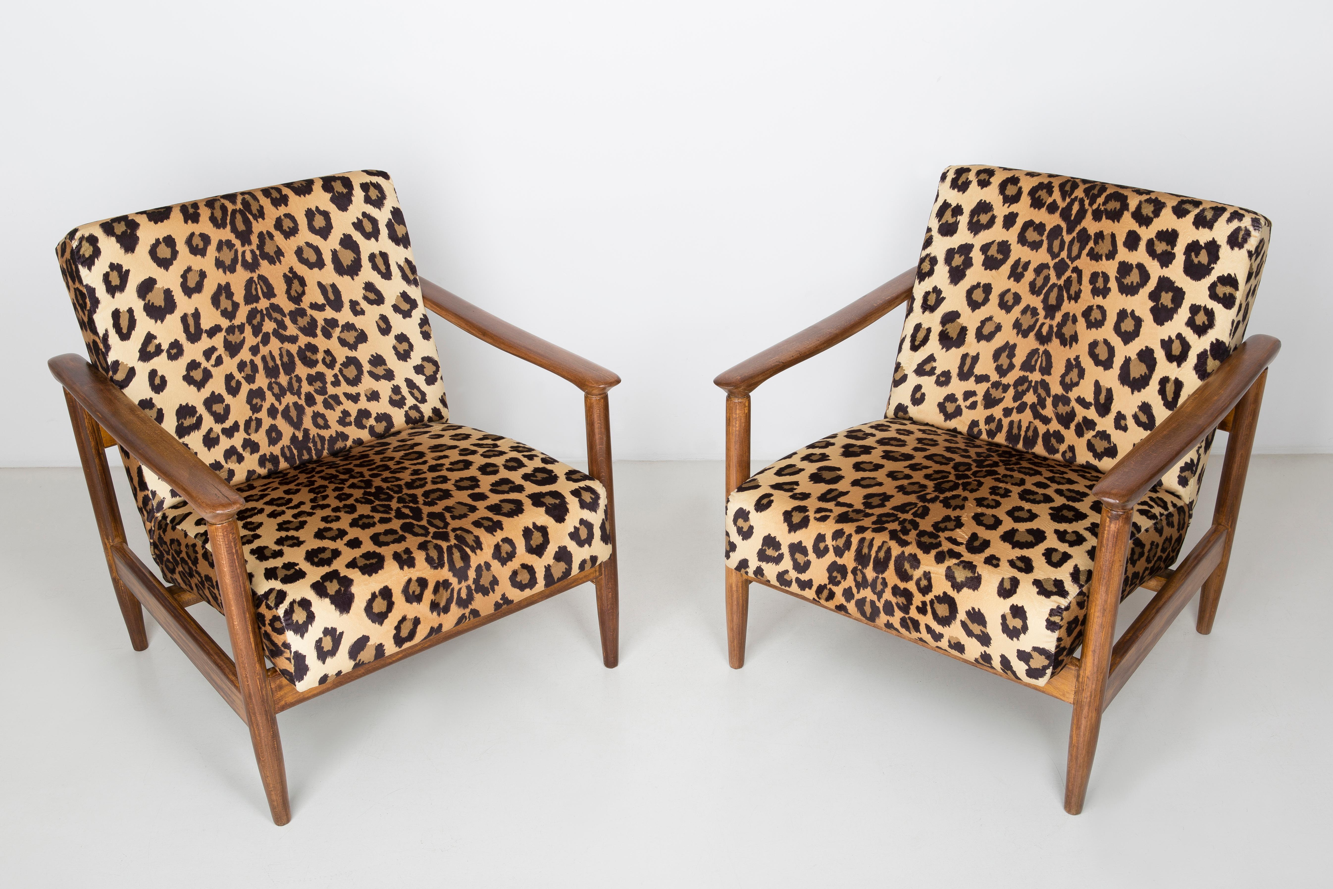 A pair of armchairs GFM-142, designed by Edmund Homa. The armchairs were made in the 1960s in the Gosciecinska furniture factory. They are made from solid beech wood. The GFM-142 armchair is regarded one of the best polish armchair design from the