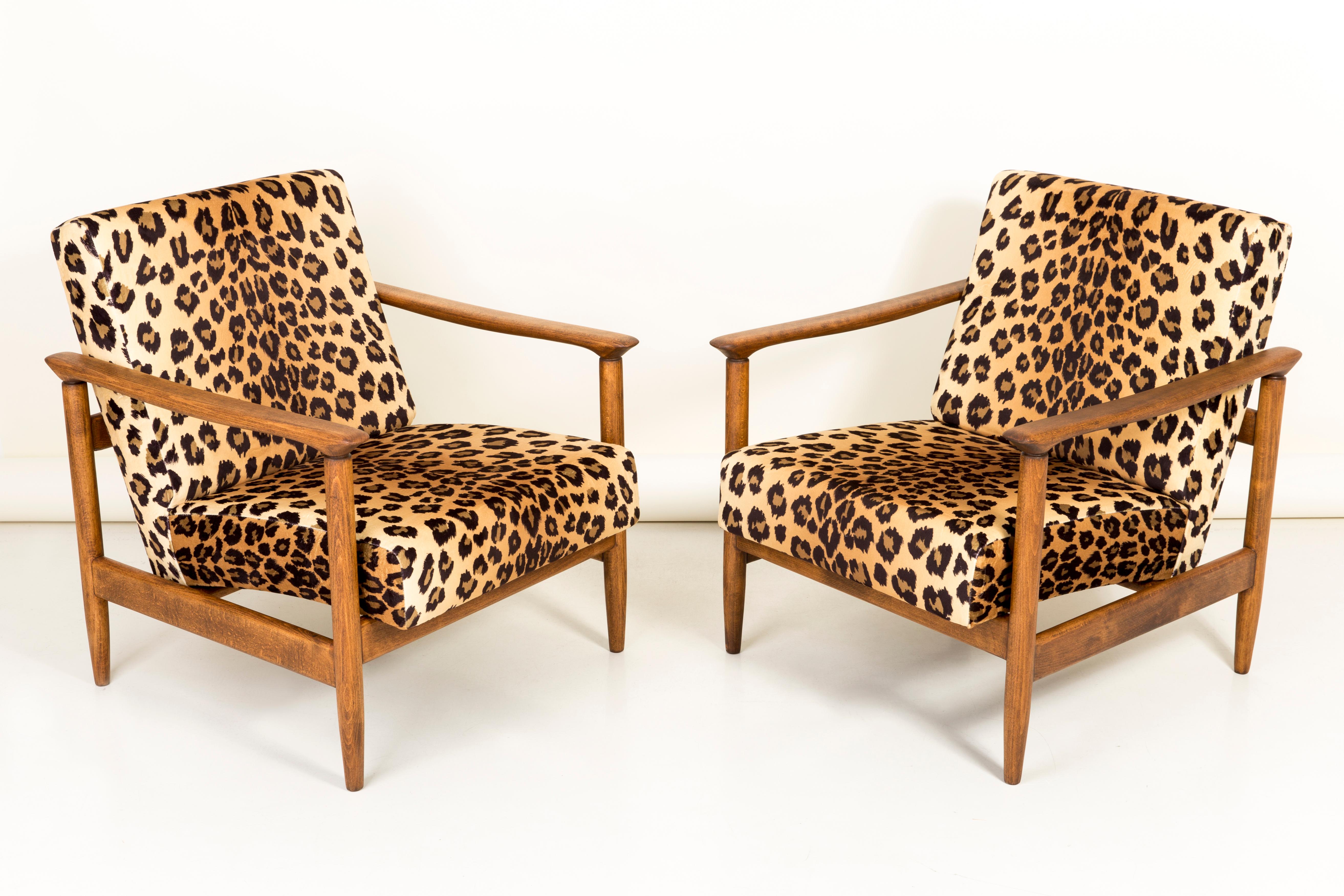 A pair of armchairs GFM-142, designed by Edmund Homa. The armchairs were made in the 1960s in the Gosciecinska furniture factory. They are made from solid beech wood. The GFM-142 armchair is regarded one of the best polish armchair design from the