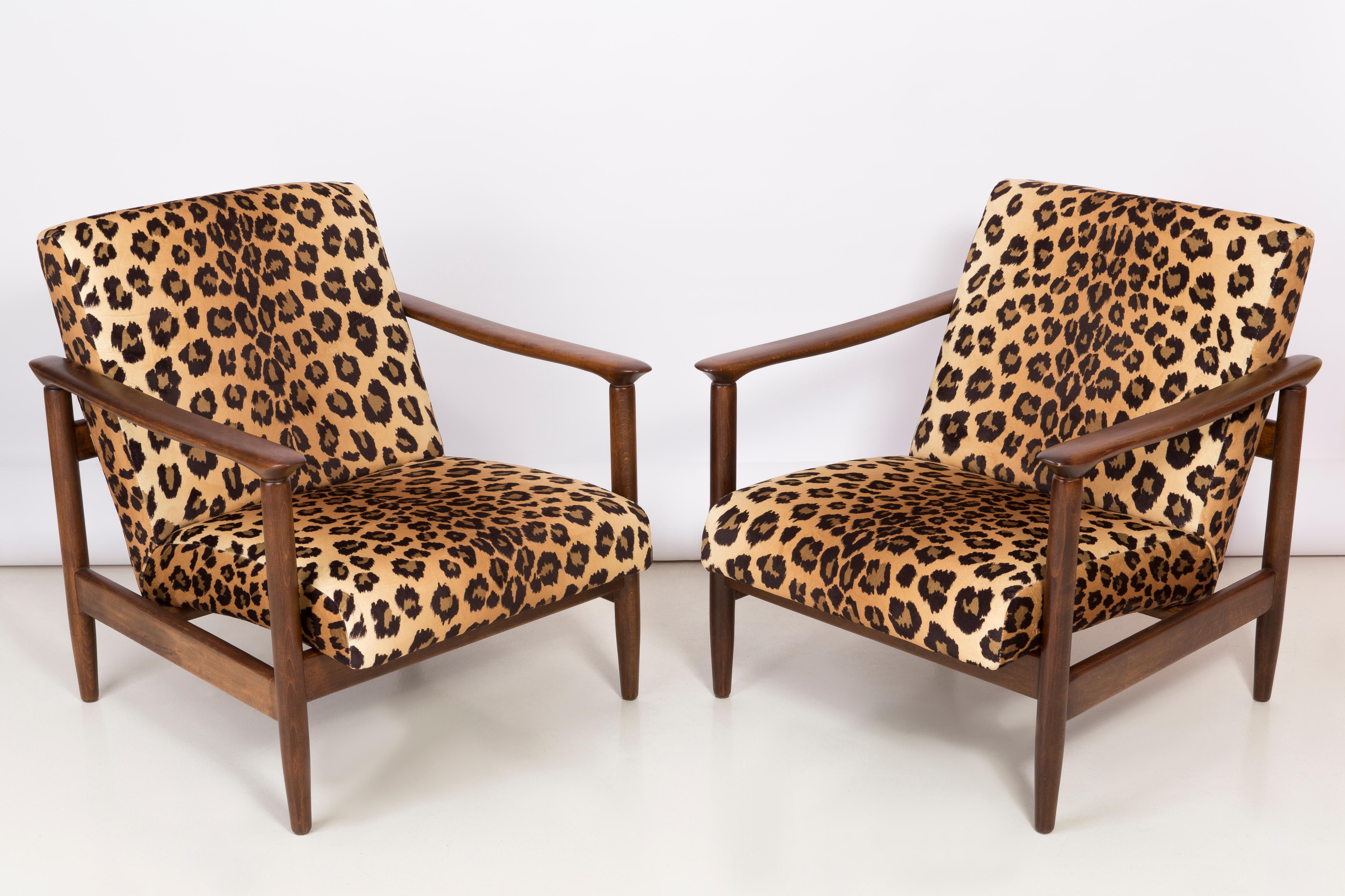 A pair of armchairs GFM-142, designed by Edmund Homa. The armchairs were made in the 1960s in the Gosciecinska furniture factory. They are made from solid beech wood. The GFM-142 armchair is regarded one of the best polish armchair design from the