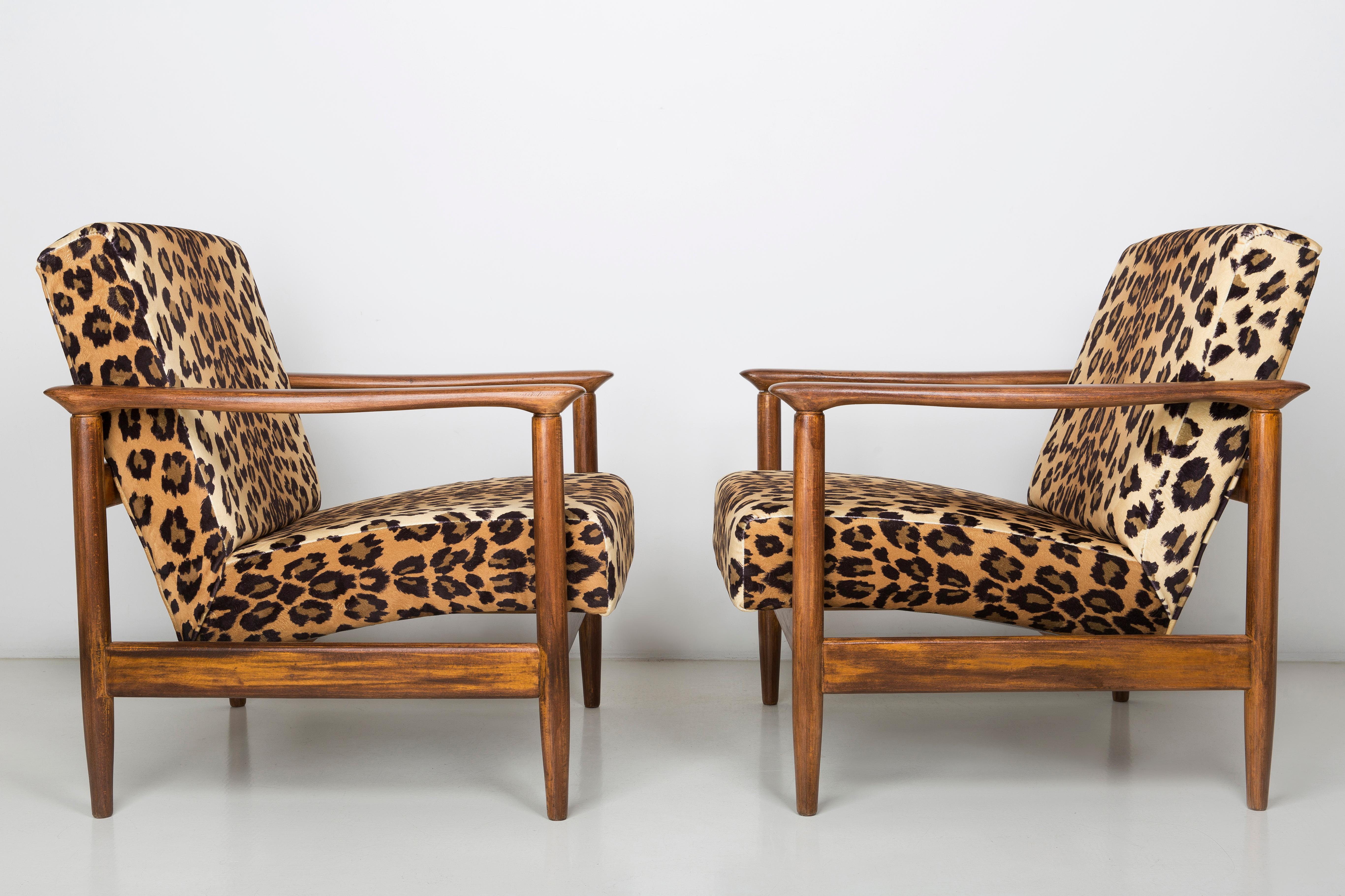 Ein Paar Sessel aus Samt mit Leopardenmuster, Edmund Homa, GFM-142, 1960er Jahre, Polen (Moderne der Mitte des Jahrhunderts) im Angebot