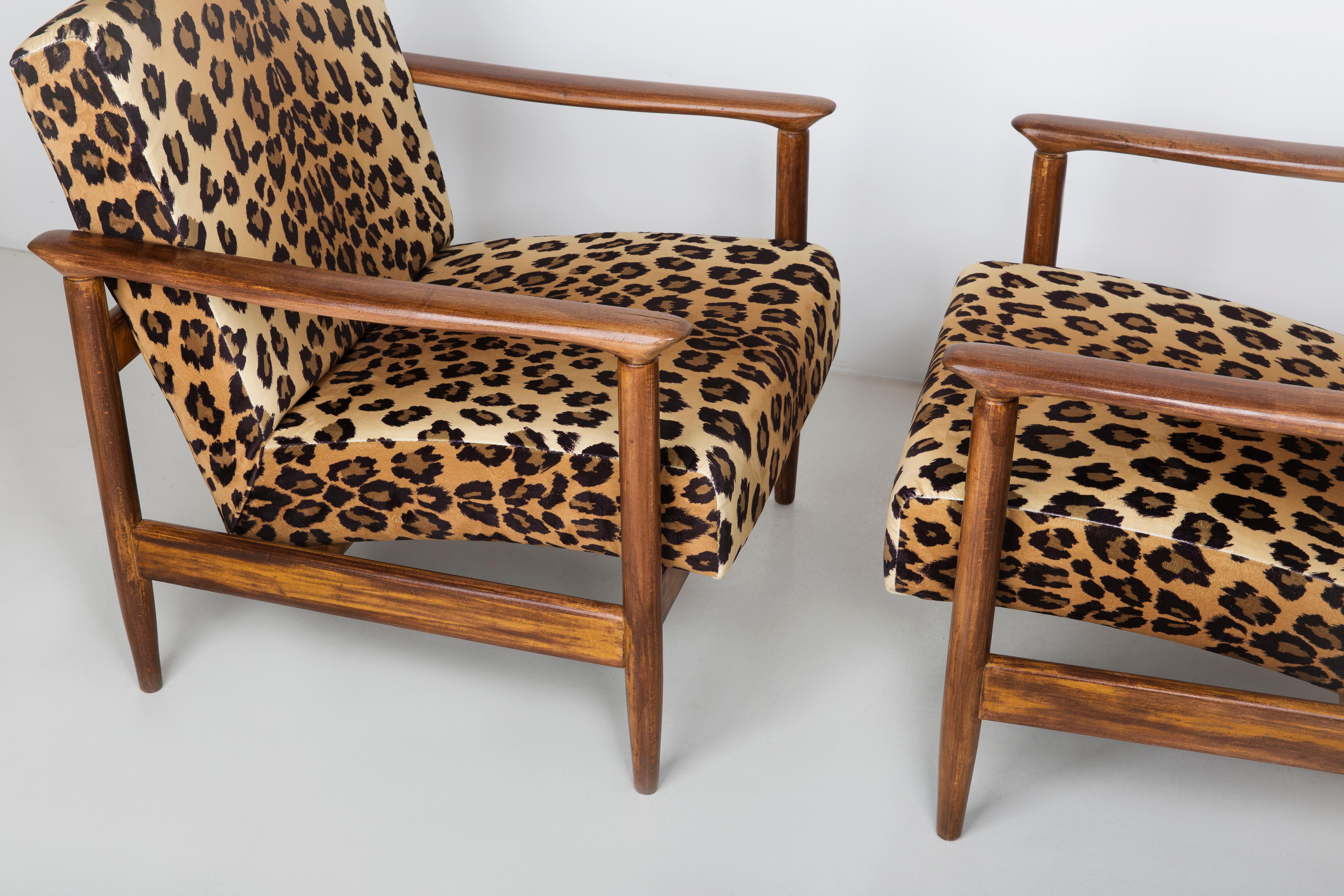 Ein Paar Sessel aus Samt mit Leopardenmuster, Edmund Homa, GFM-142, 1960er Jahre, Polen (Polnisch) im Angebot