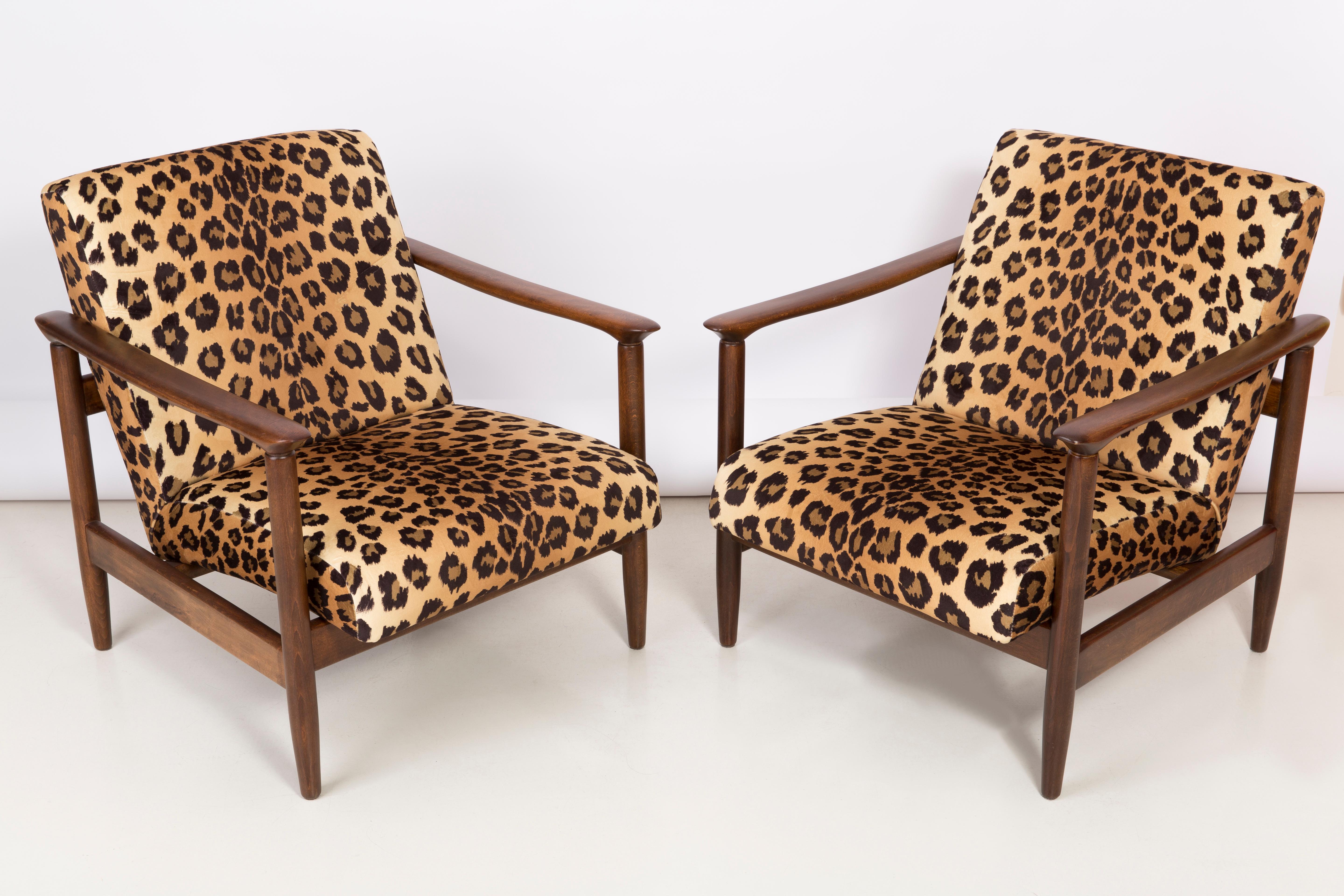 Polish Pair of Leopard Print Velvet Armchairs, Edmund Homa, GFM-142, 1960s, Poland For Sale