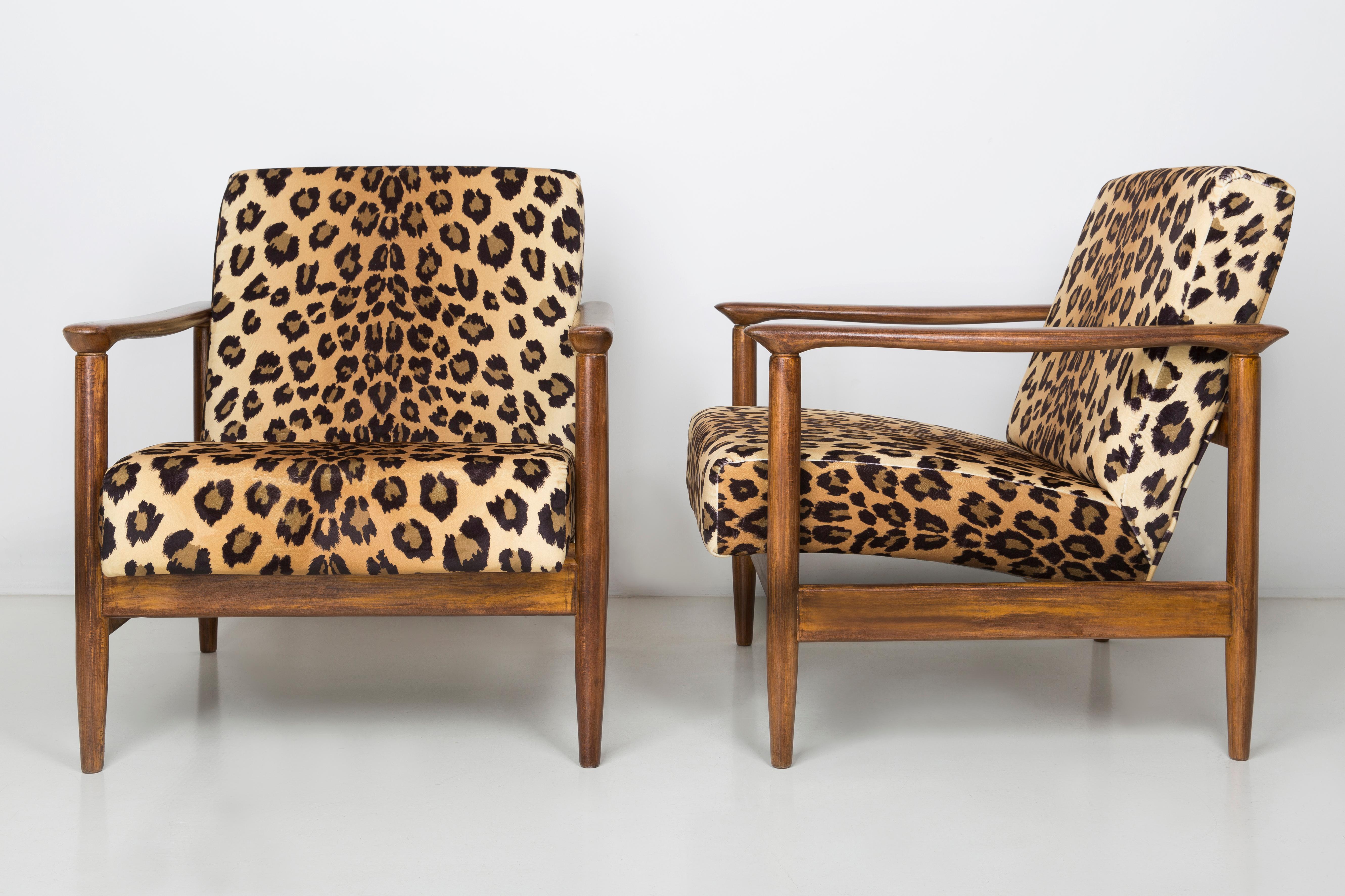 Ein Paar Sessel aus Samt mit Leopardenmuster, Edmund Homa, GFM-142, 1960er Jahre, Polen (Handgefertigt) im Angebot