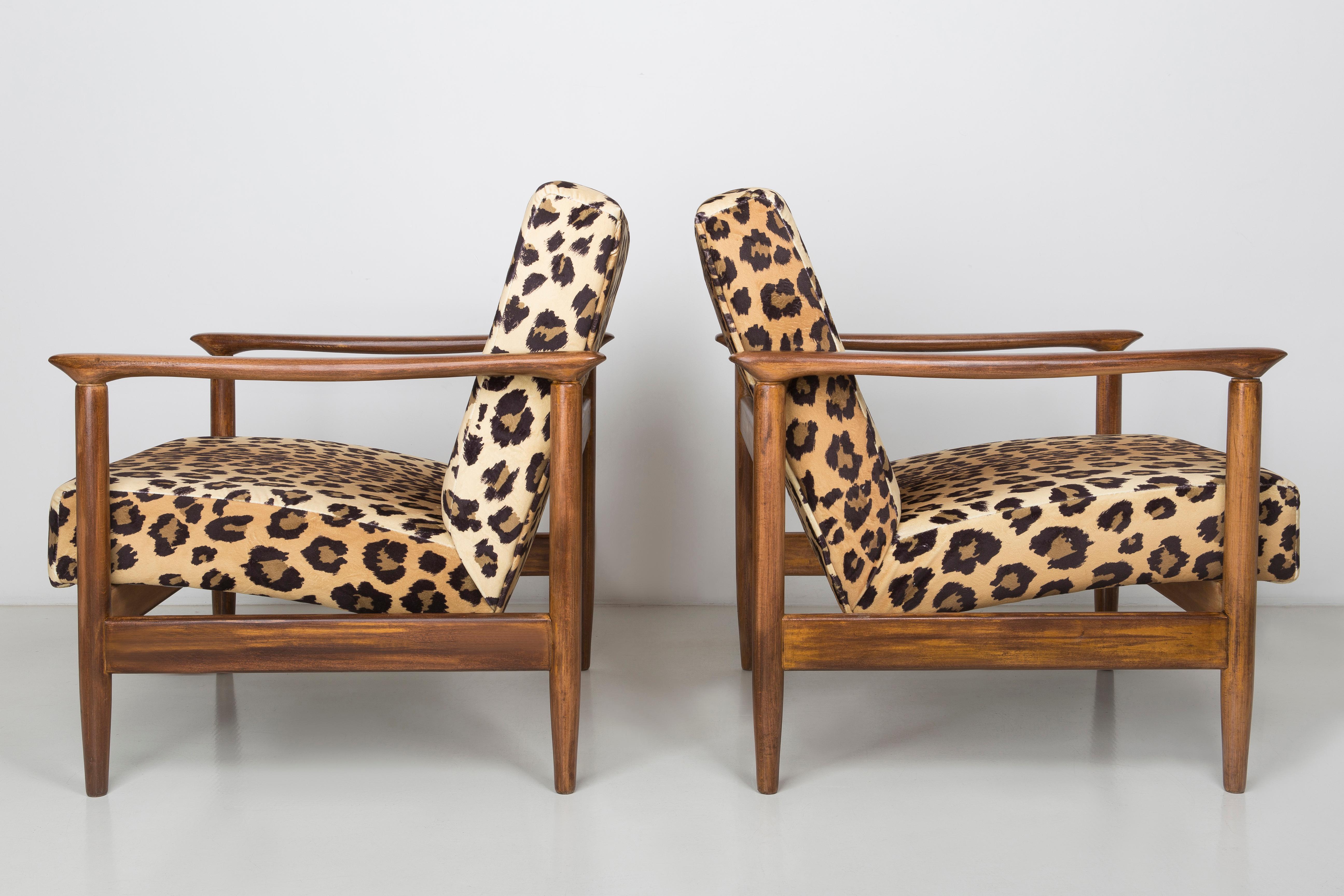 Ein Paar Sessel aus Samt mit Leopardenmuster, Edmund Homa, GFM-142, 1960er Jahre, Polen im Zustand „Hervorragend“ im Angebot in 05-080 Hornowek, PL