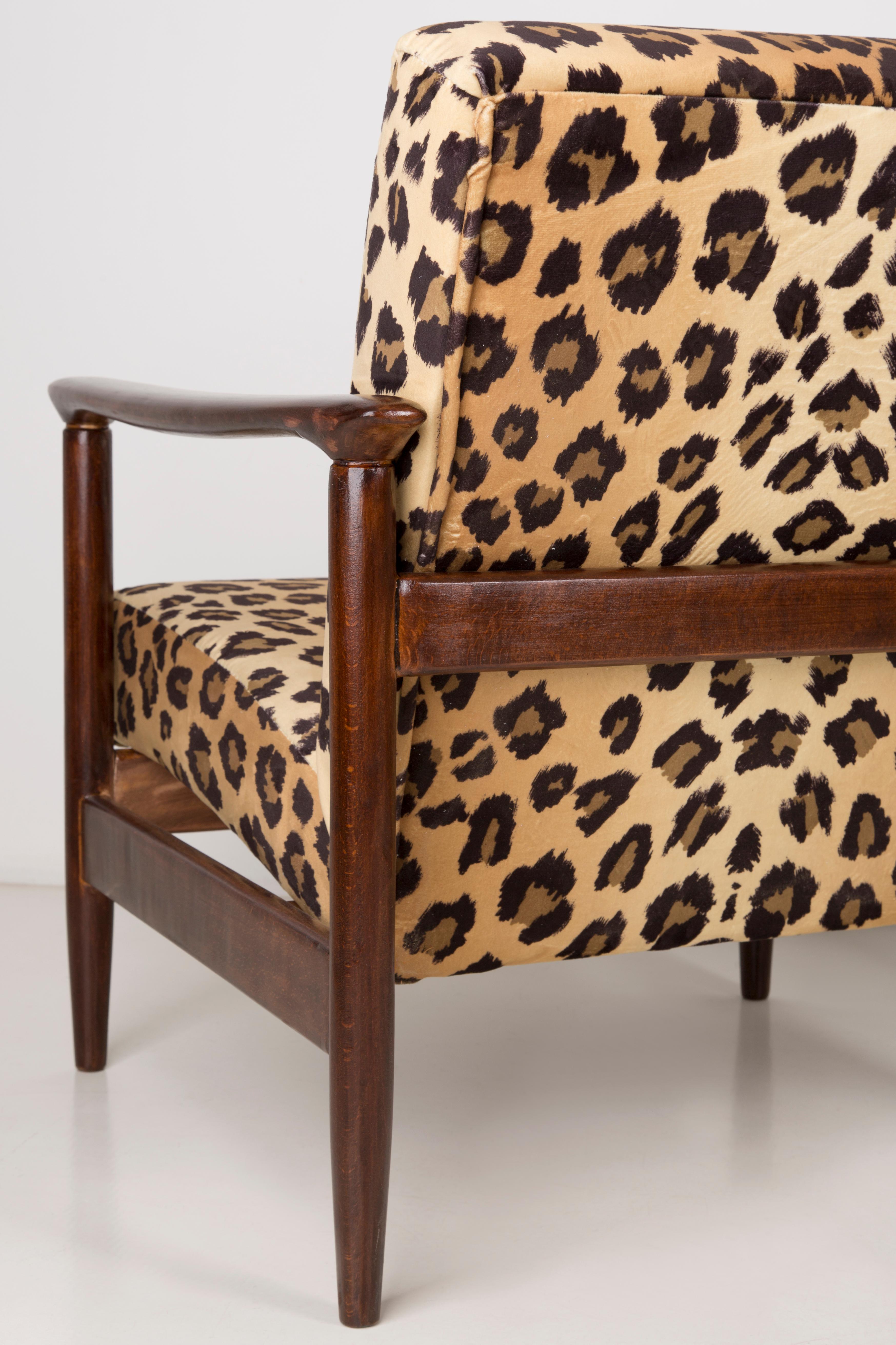 Textile Paire de fauteuils en velours imprimé léopard, Edmund Homa, GFM-142, années 1960, Pologne en vente