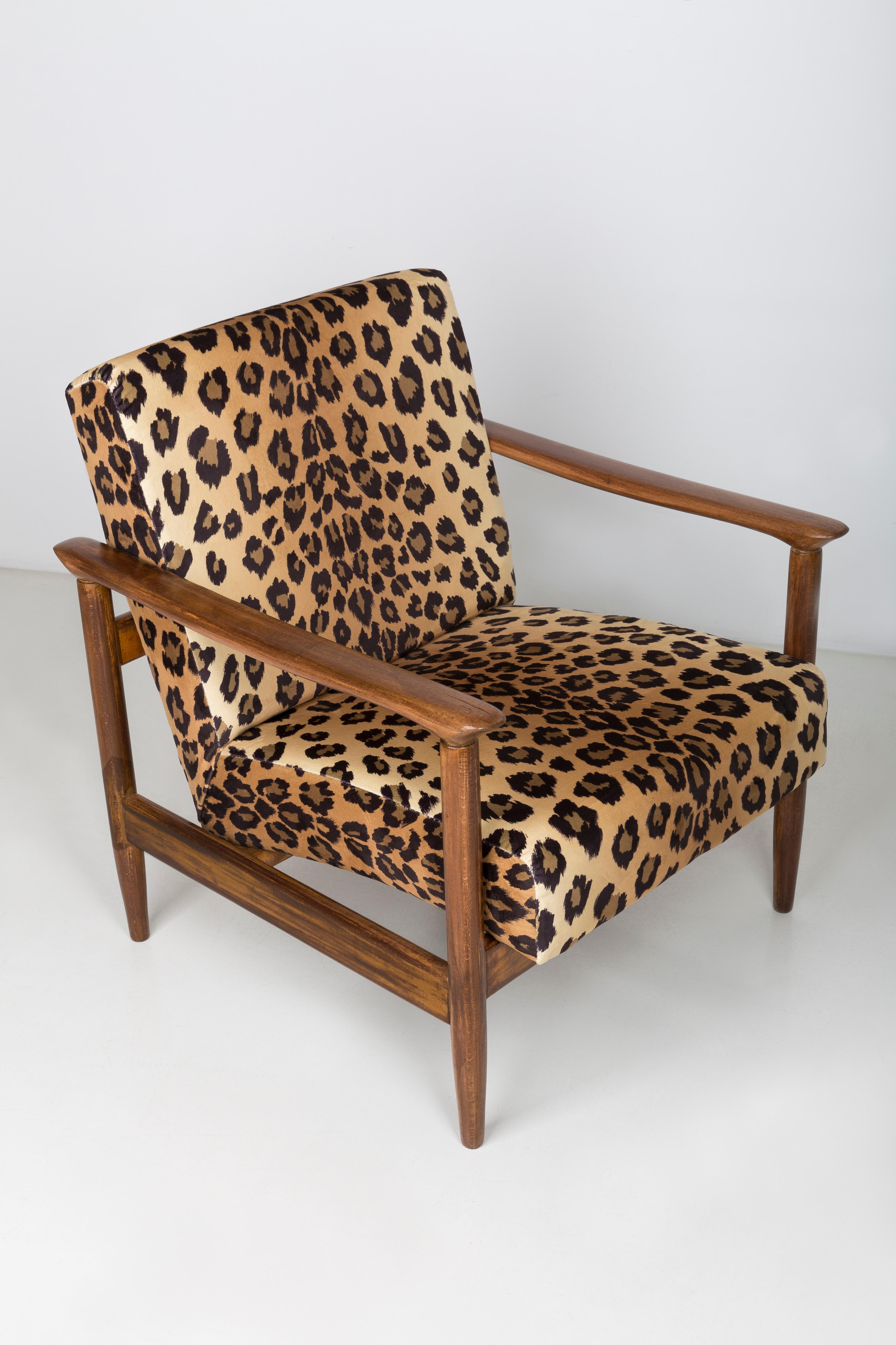 Ein Paar Sessel aus Samt mit Leopardenmuster, Edmund Homa, GFM-142, 1960er Jahre, Polen im Angebot 1