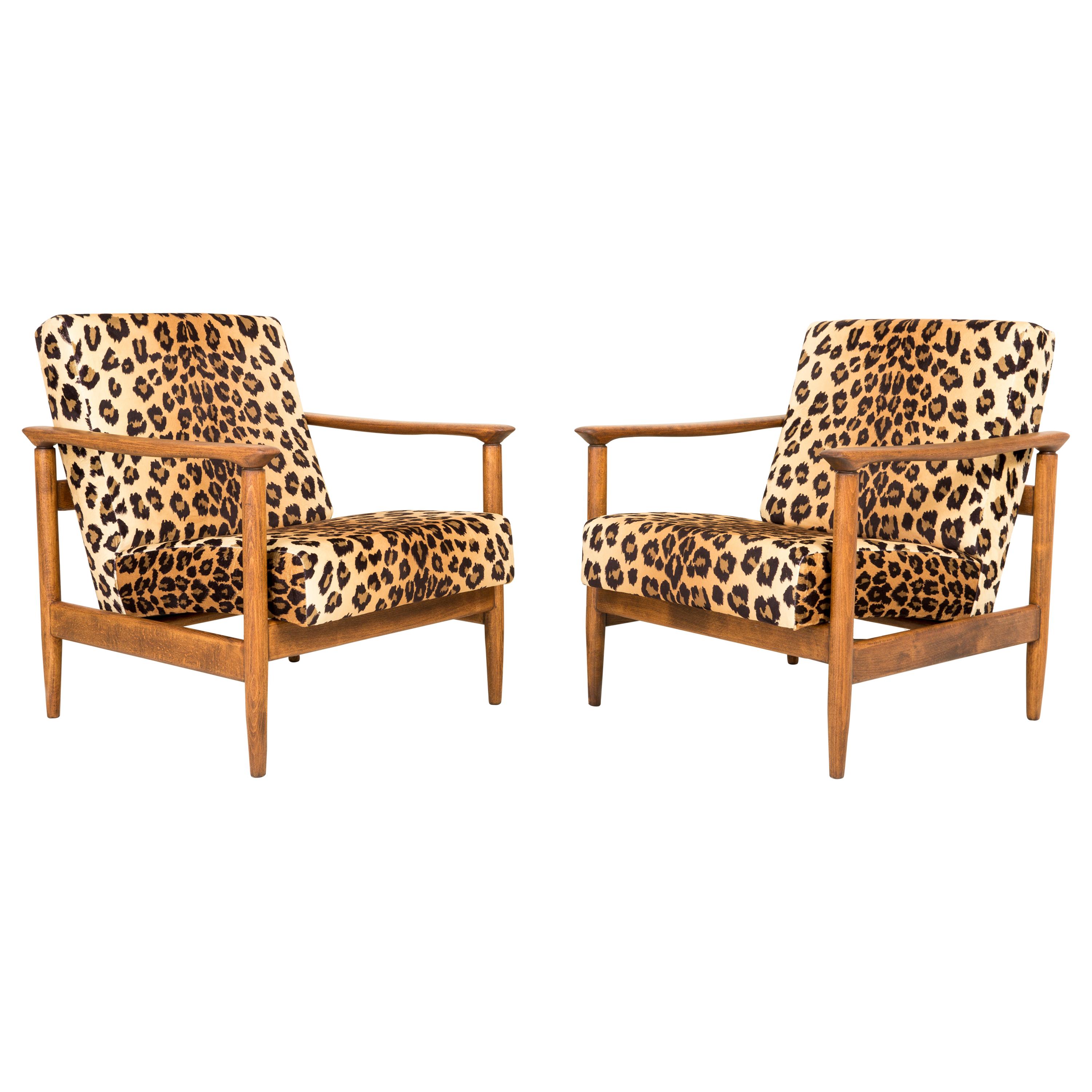 Pair of Leopard Print Velvet Armchairs, Edmund Homa, GFM-142, 1960s, Poland